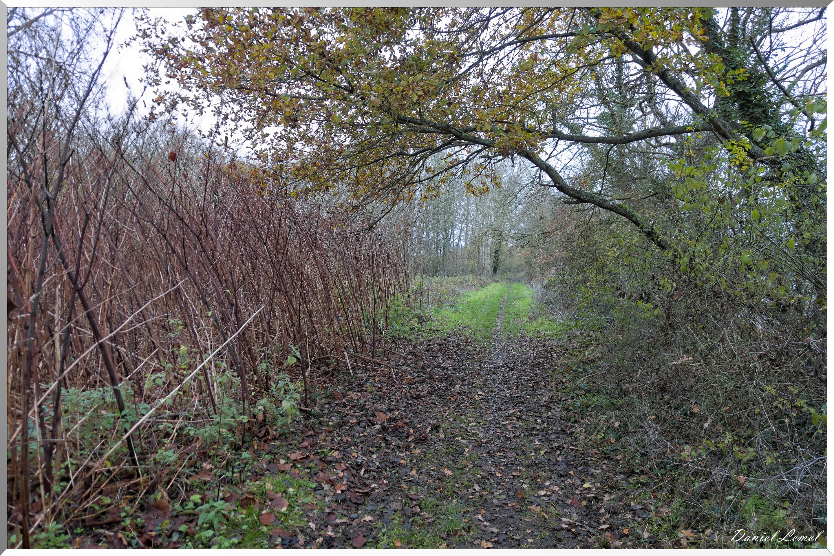 La-Rive-sous-Venables