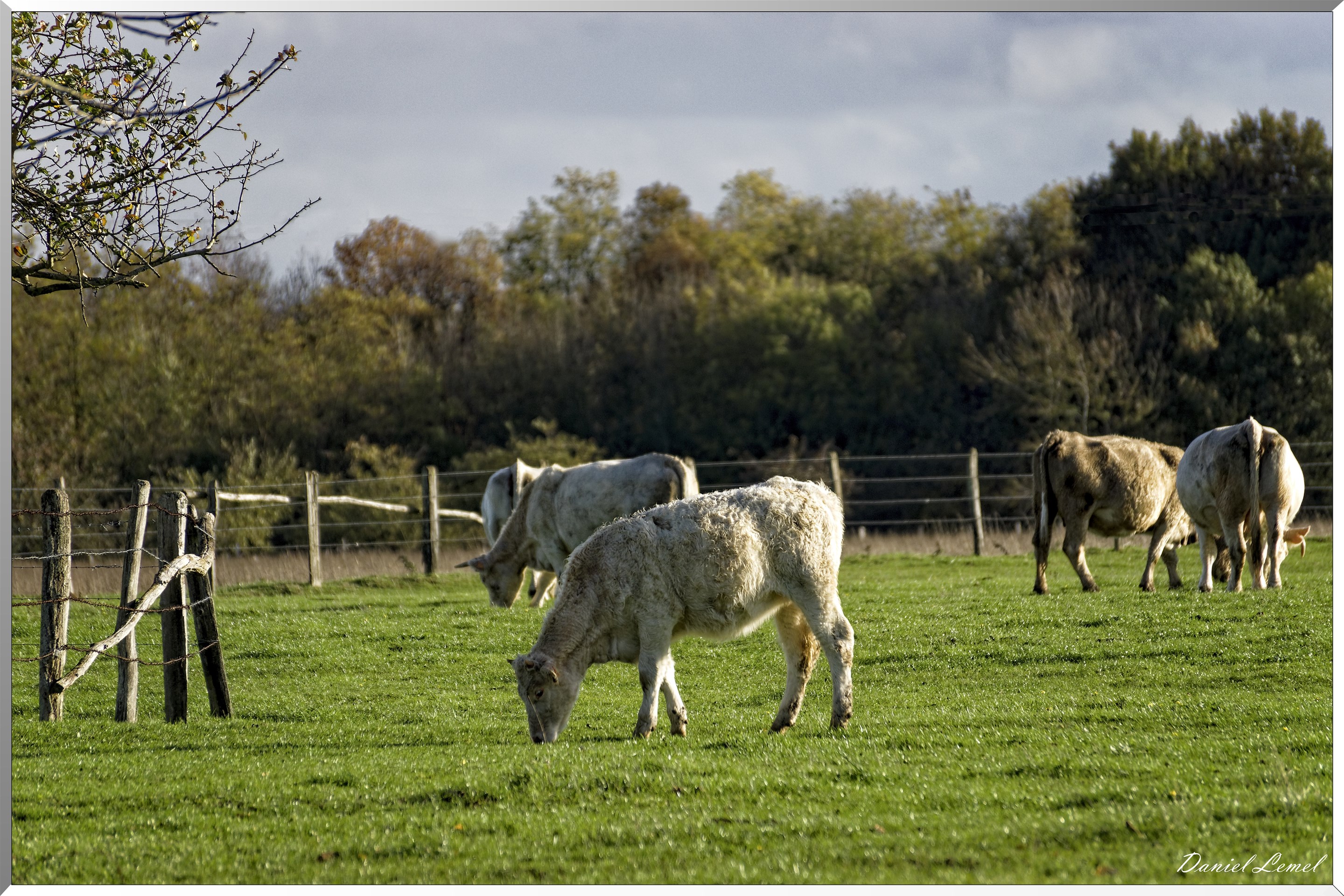 Saint-Pierre-de-Bailleul
