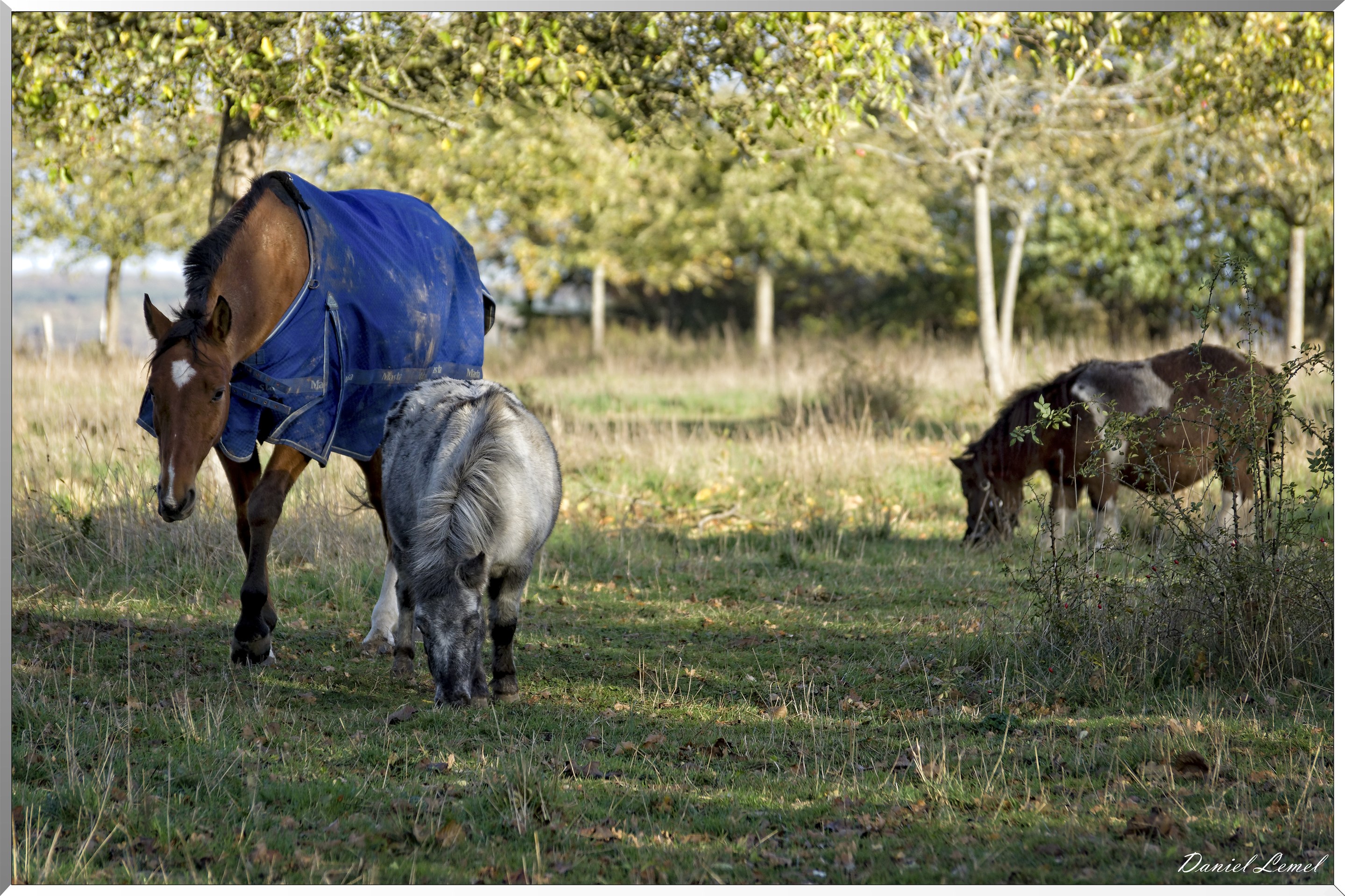 Saint-Pierre-de-Bailleul