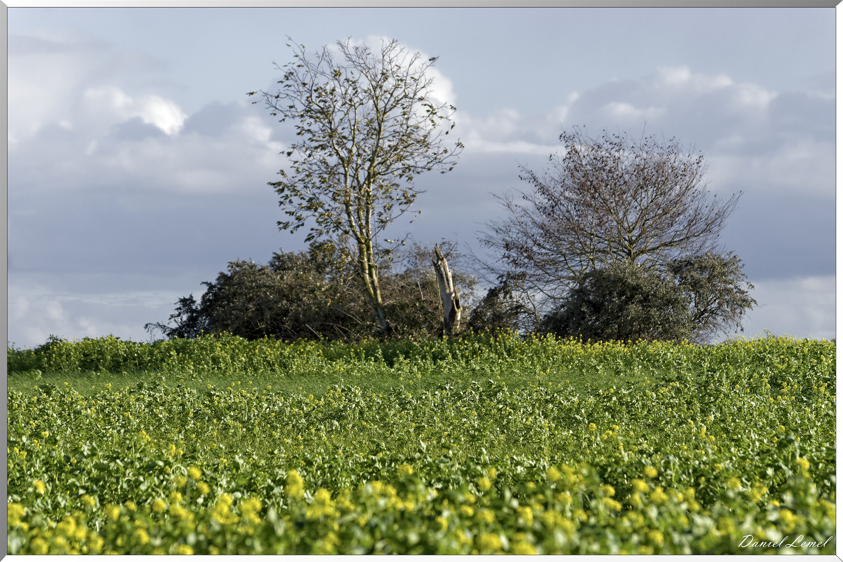 Saint-Pierre-de-Bailleul