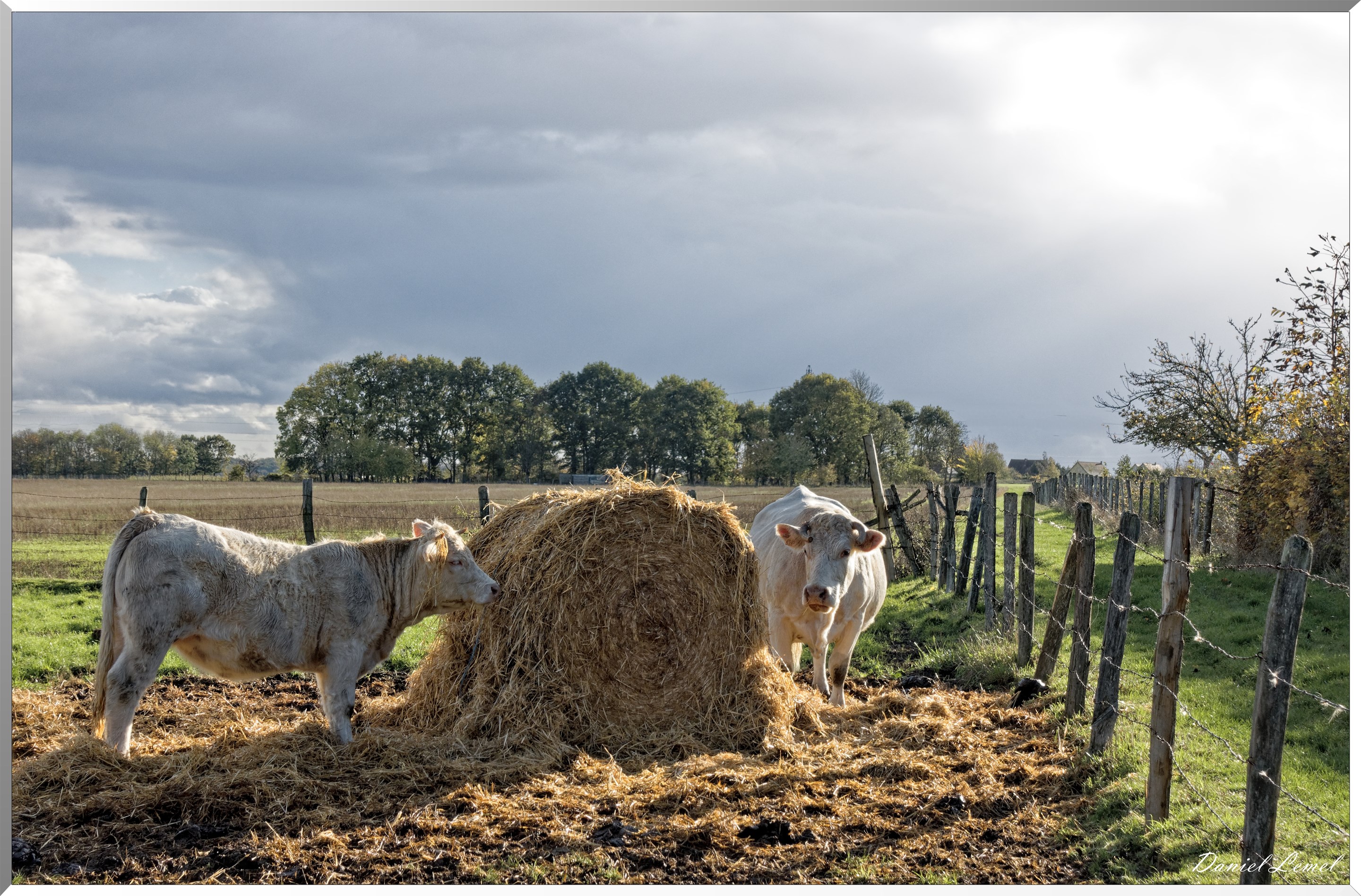 Saint-Pierre-de-Bailleul