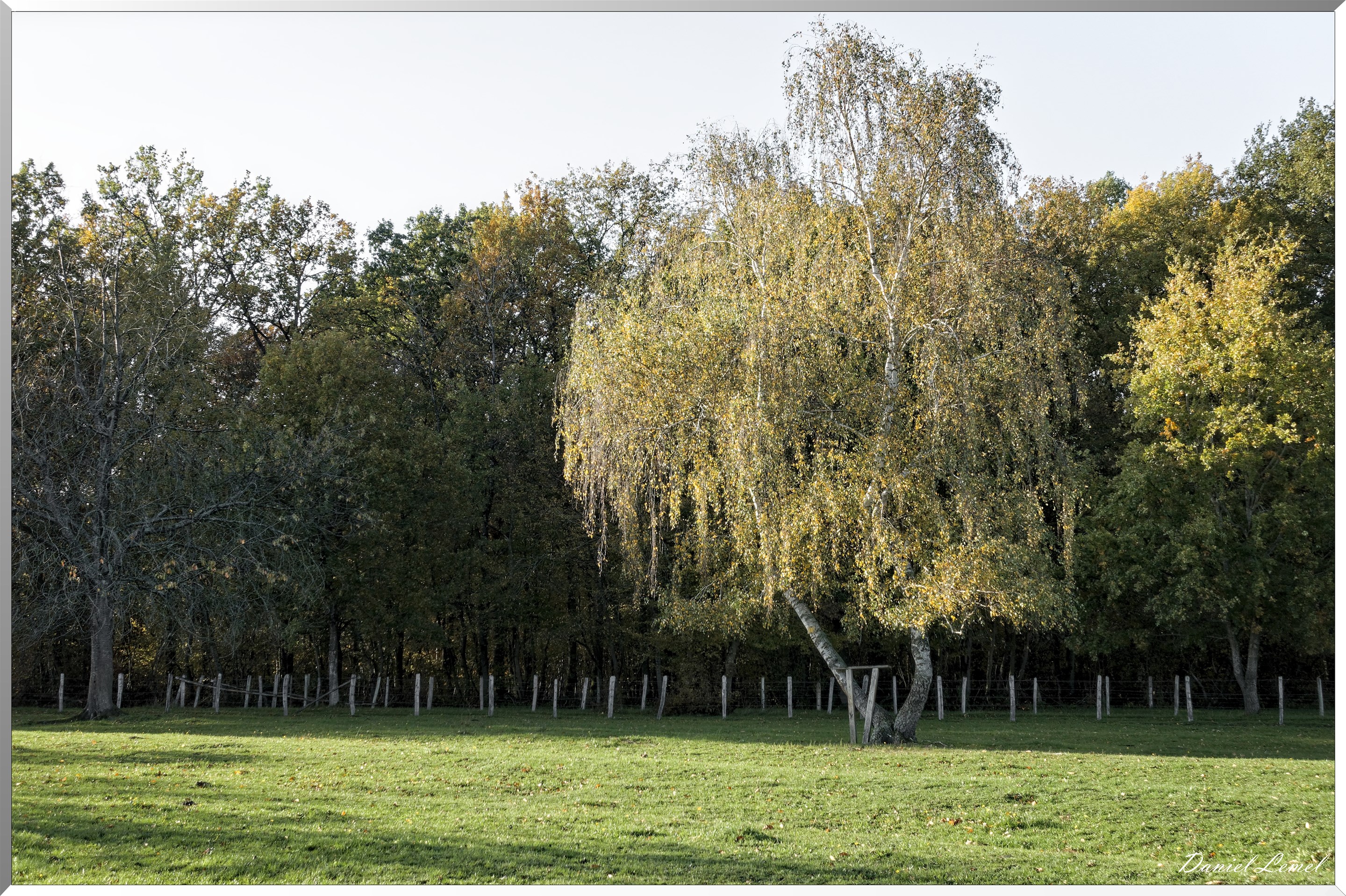 Saint-Pierre-de-Bailleul