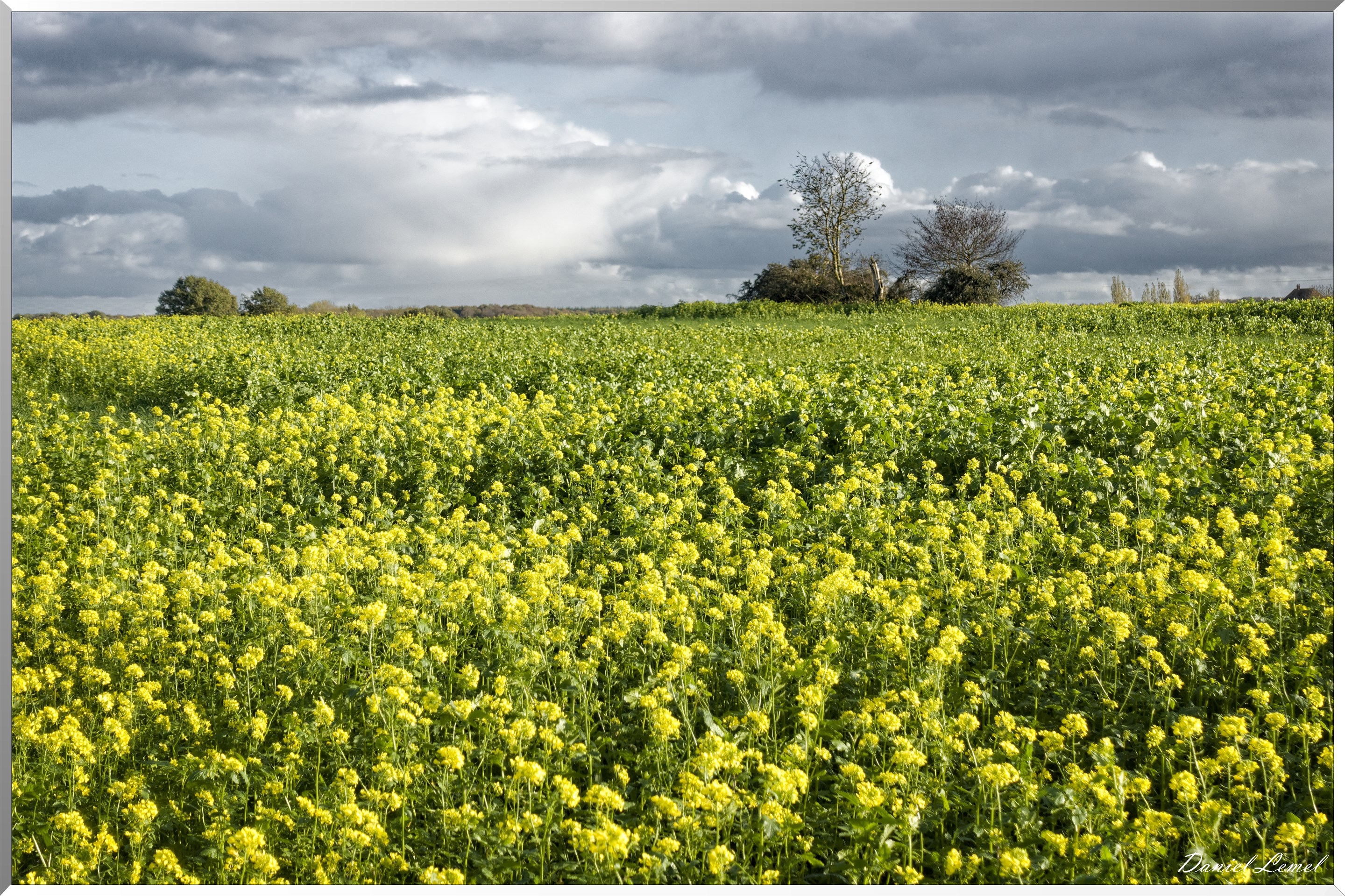 Saint-Pierre-de-Bailleul