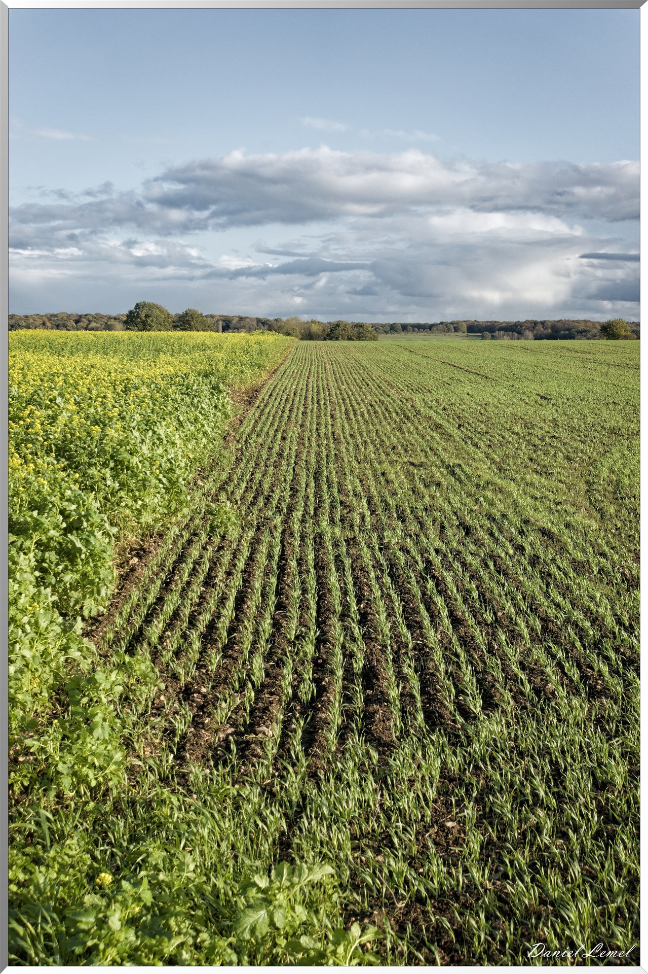 Saint-Pierre-de-Bailleul