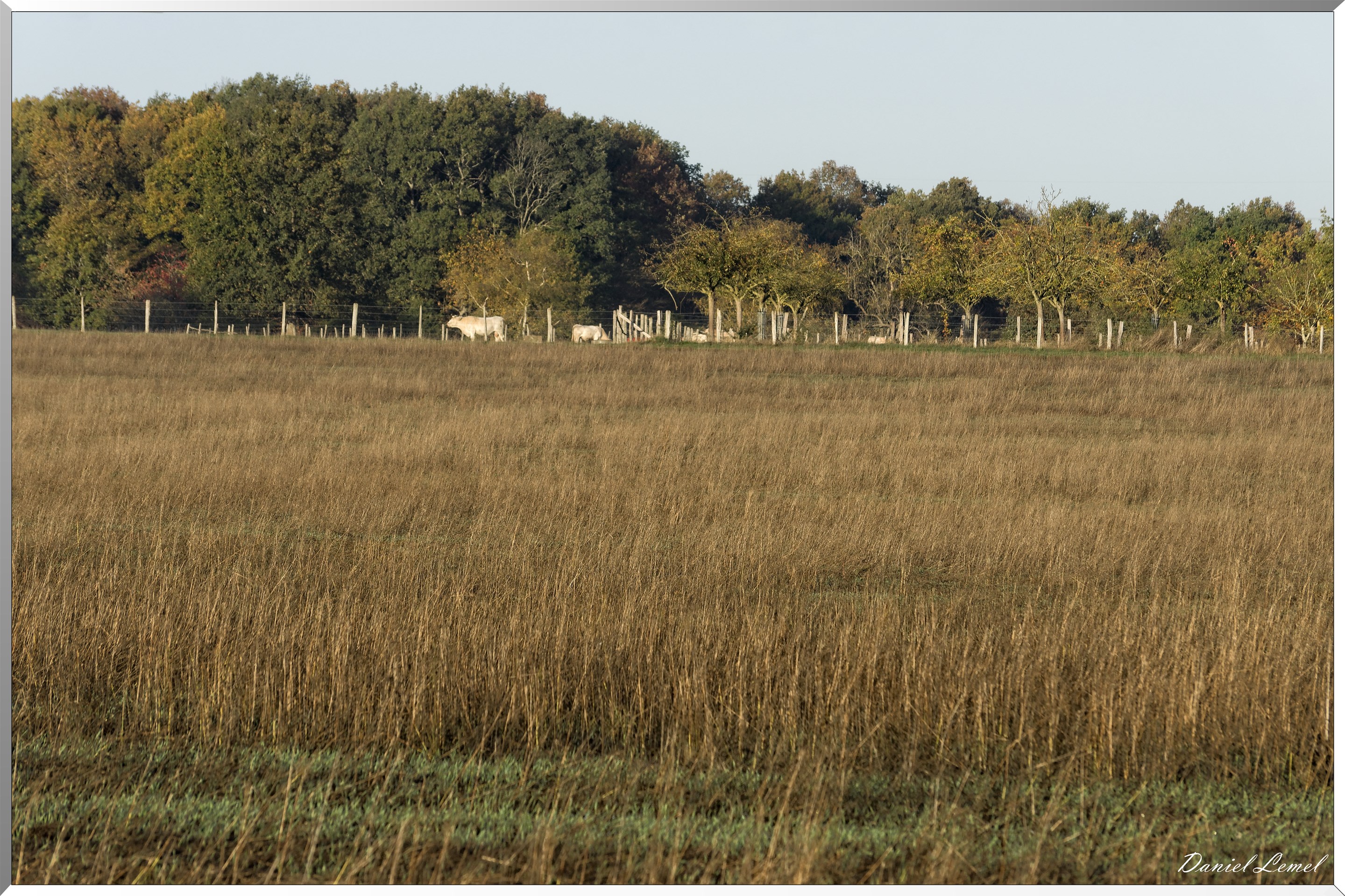 Saint-Pierre-de-Bailleul