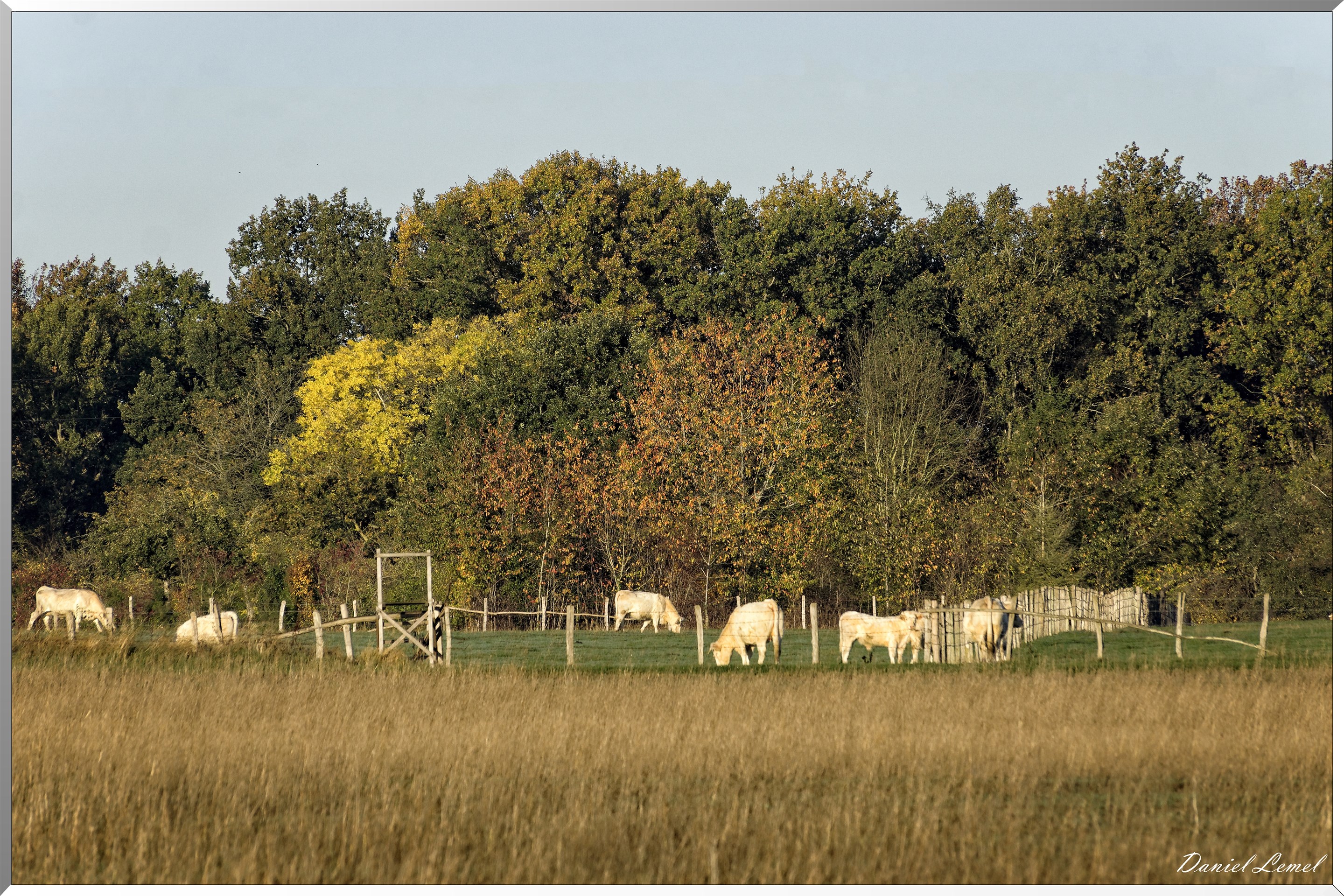 Saint-Pierre-de-Bailleul