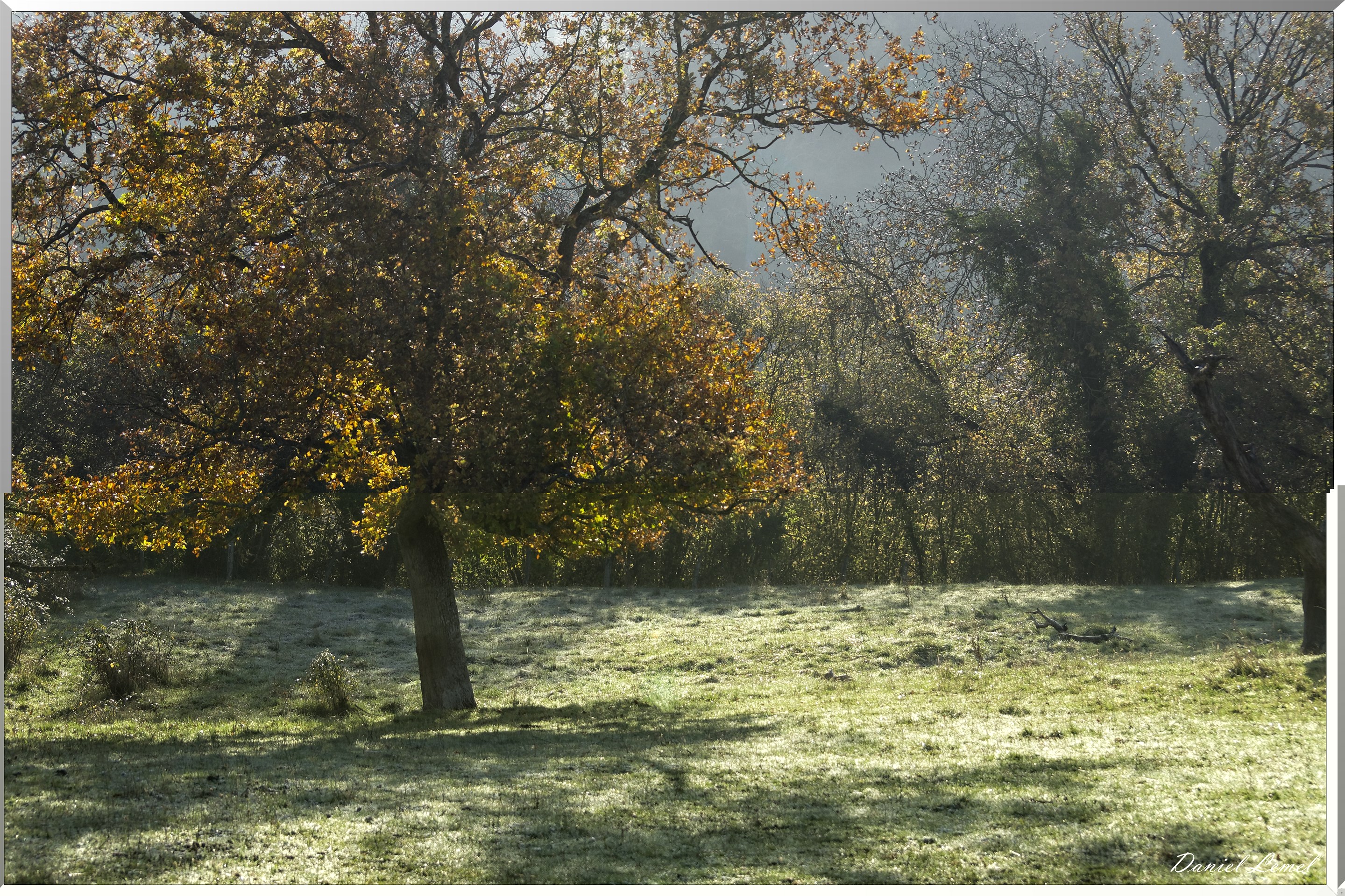 Saint-Pierre-de-Bailleul