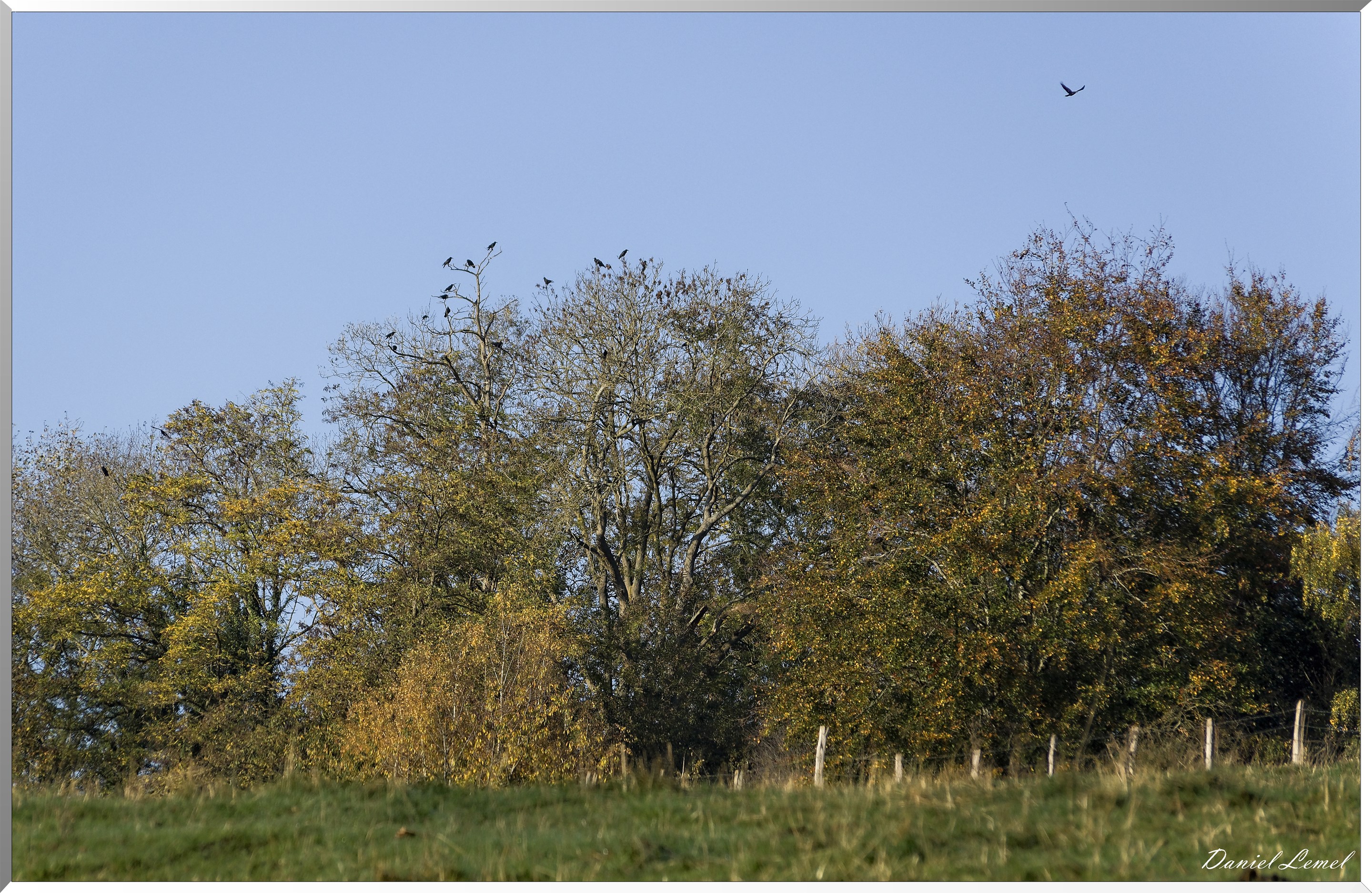 Saint-Pierre-de-Bailleul