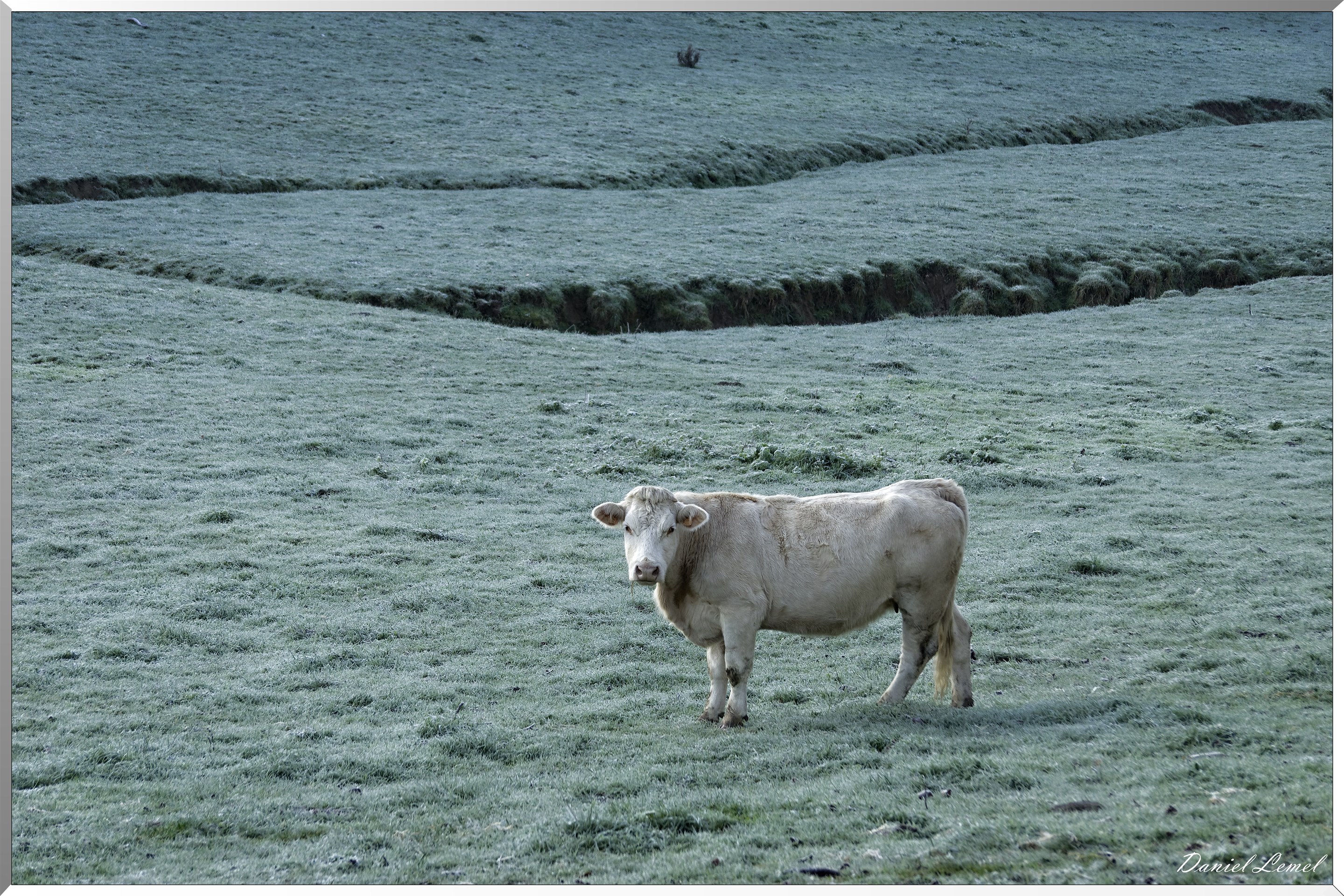 Saint-Pierre-de-Bailleul