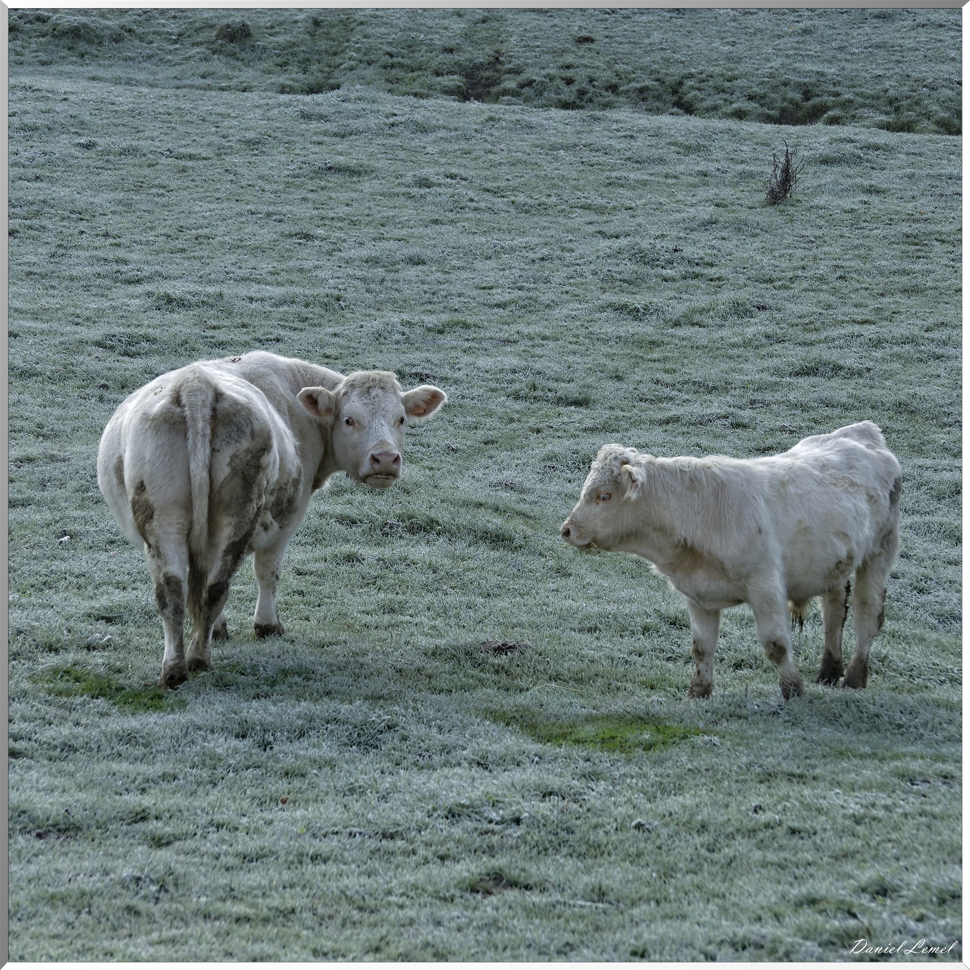 Saint-Pierre-de-Bailleul