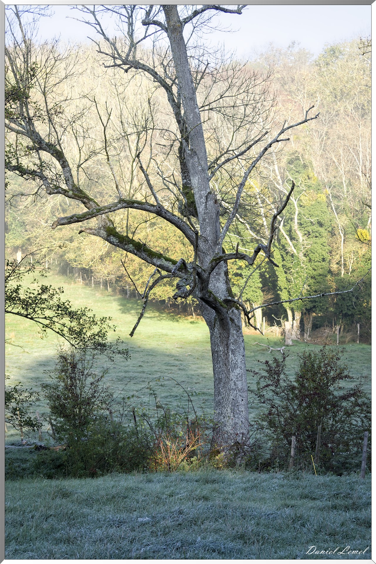 Saint-Pierre-de-Bailleul