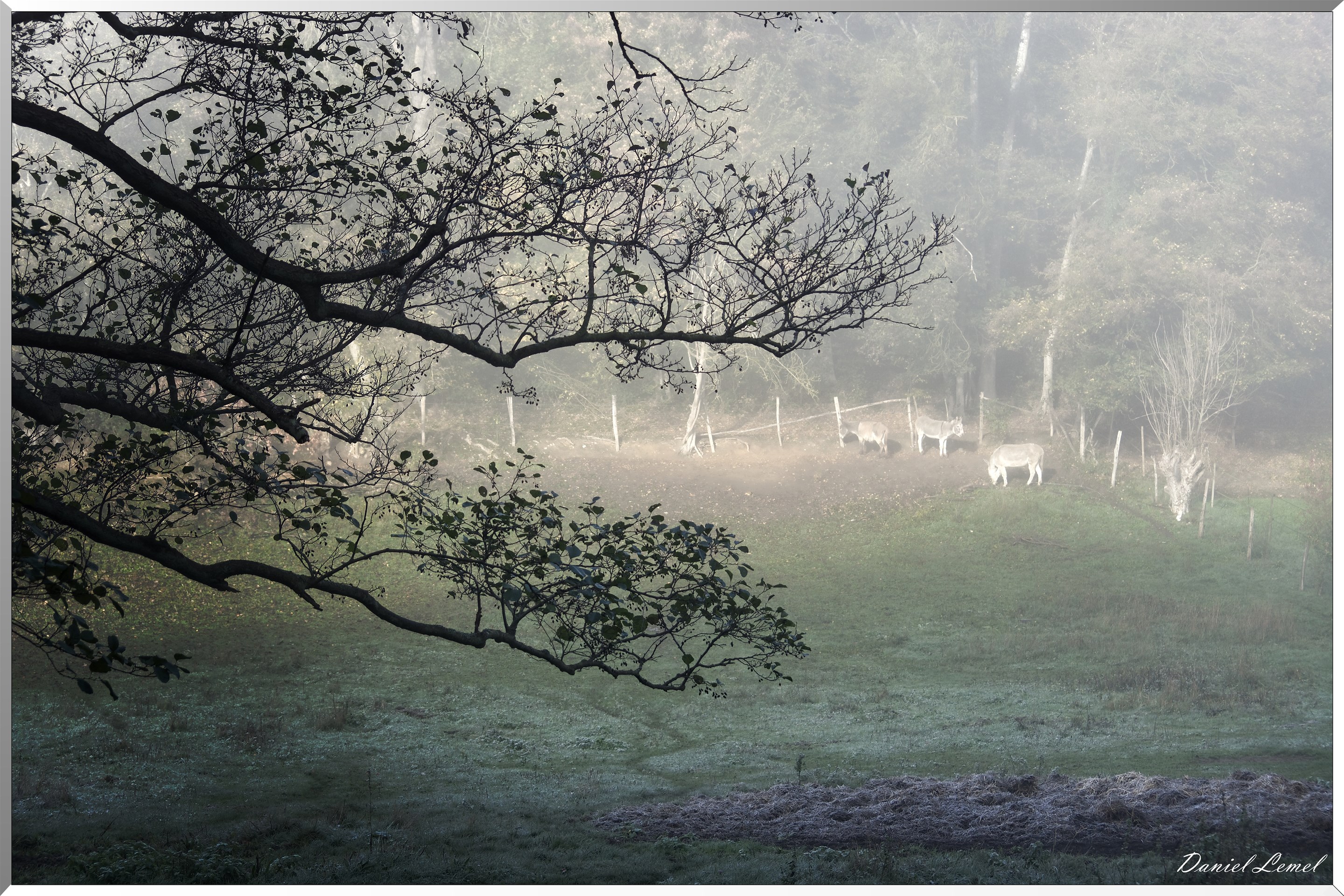 Saint-Pierre-de-Bailleul