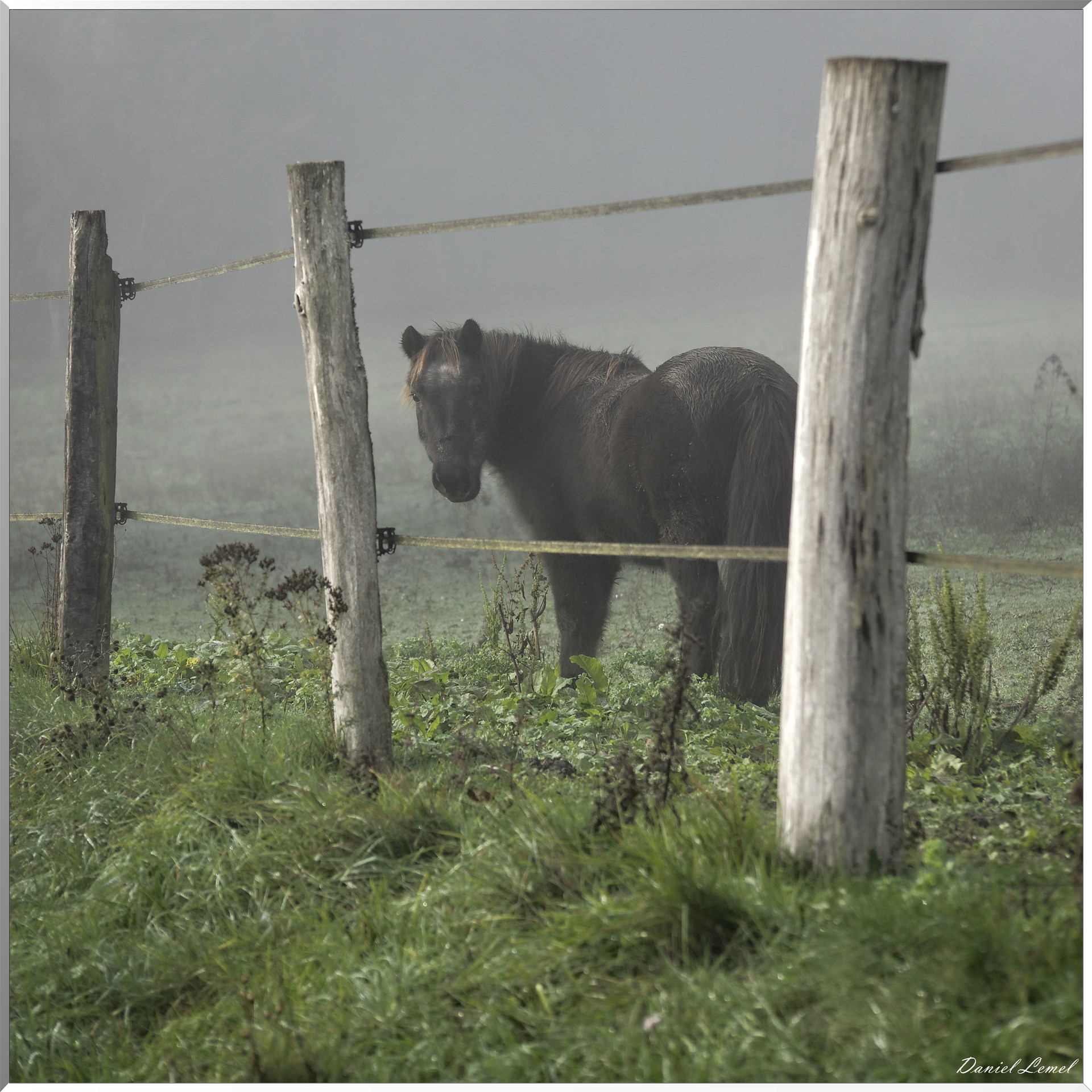 Saint-Pierre-de-Bailleul