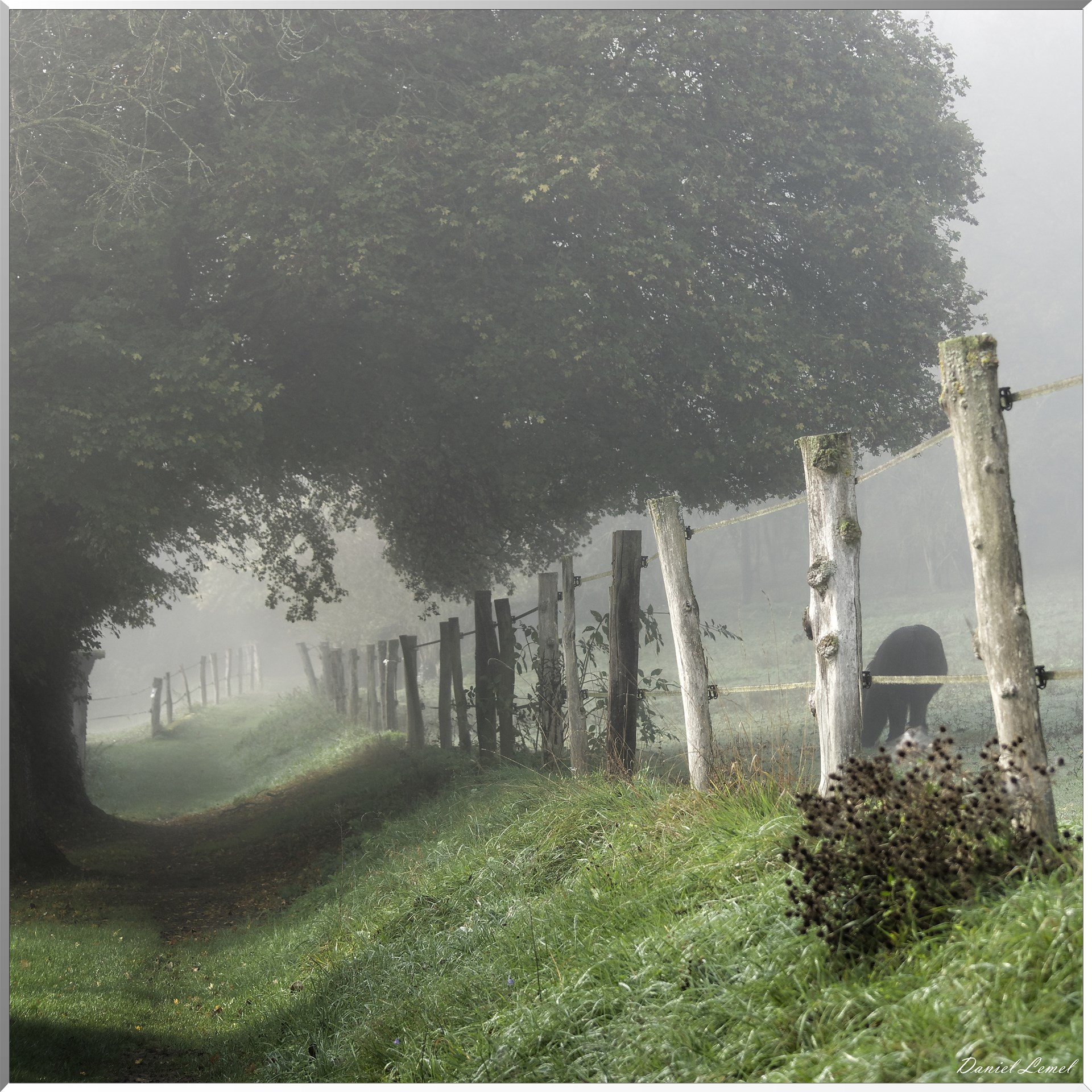 Saint-Pierre-de-Bailleul