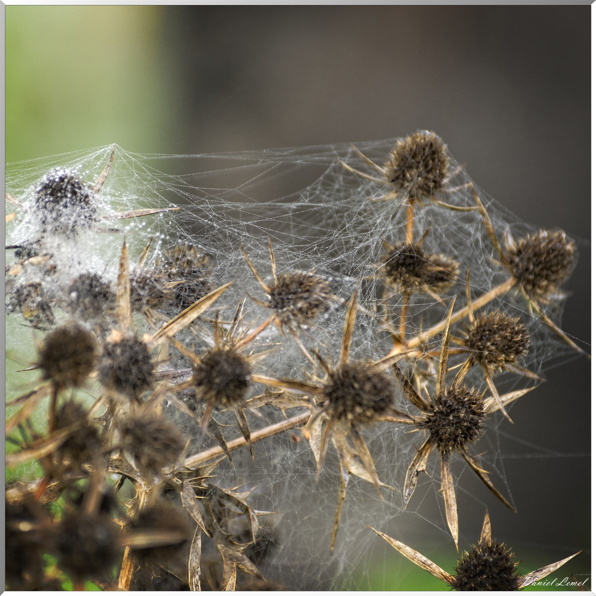 Saint-Pierre-de-Bailleul