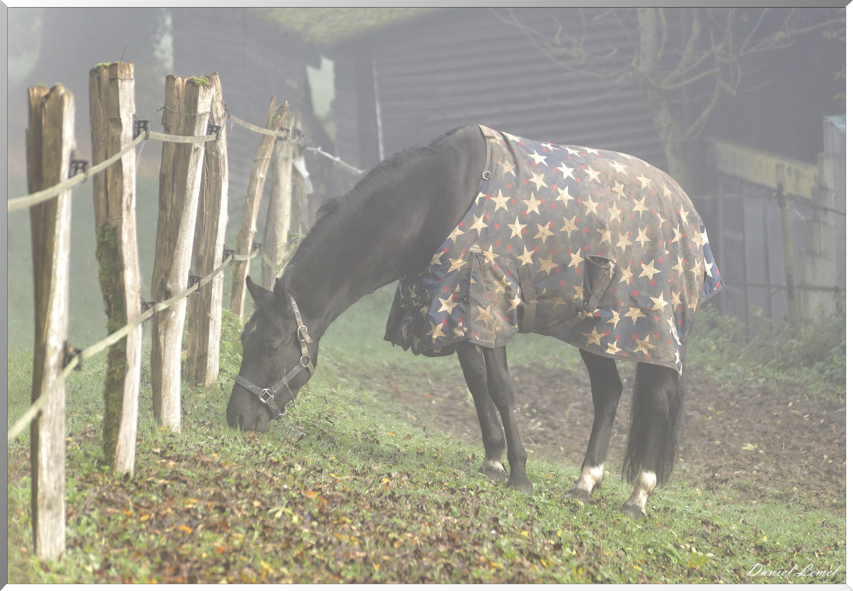 Saint-Pierre-de-Bailleul