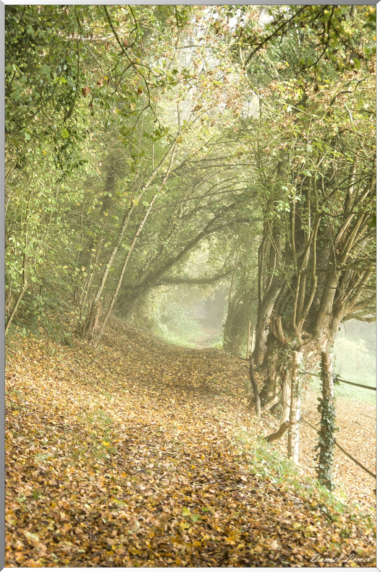 Saint-Pierre-de-Bailleul