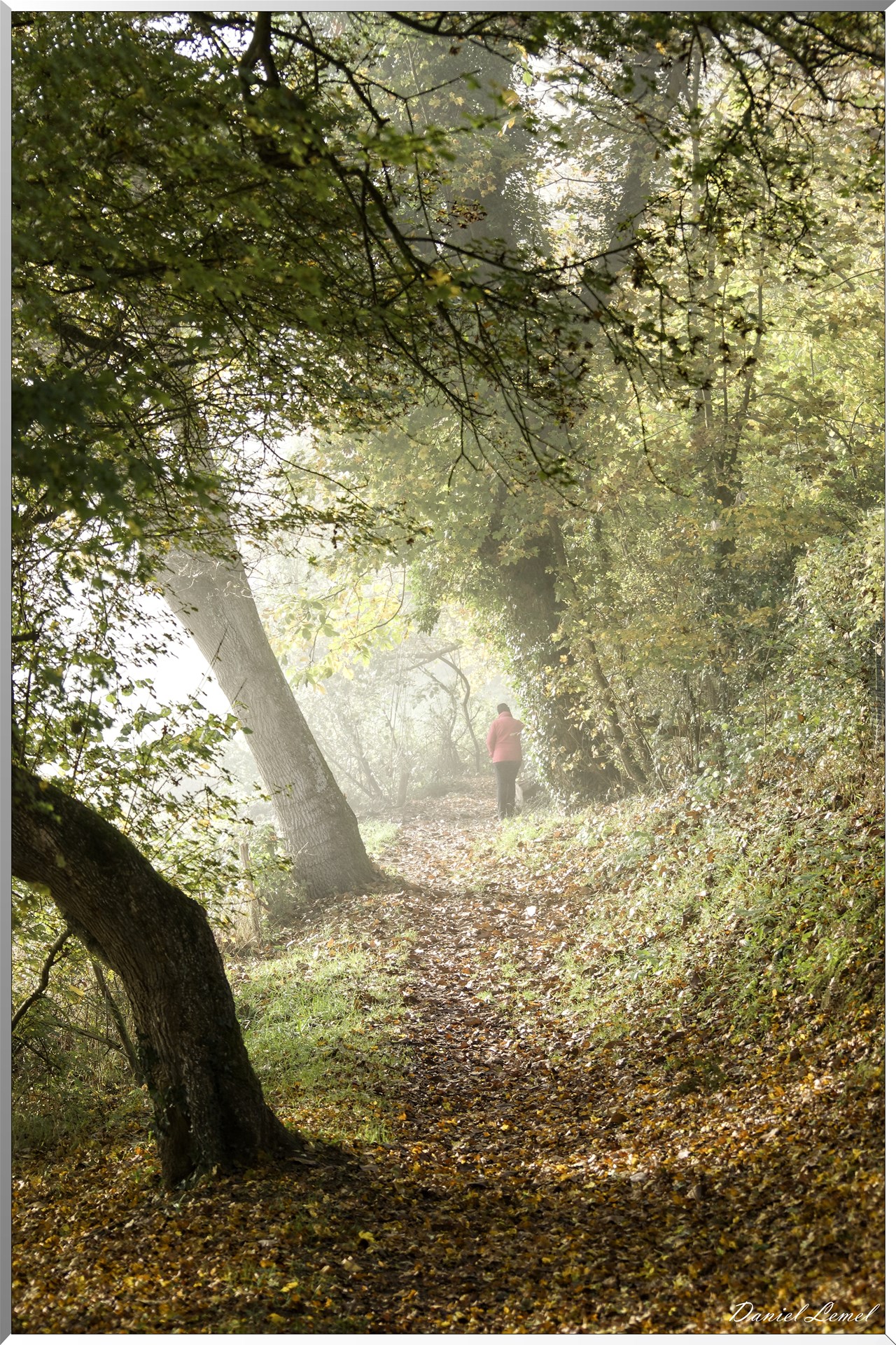 Saint-Pierre-de-Bailleul