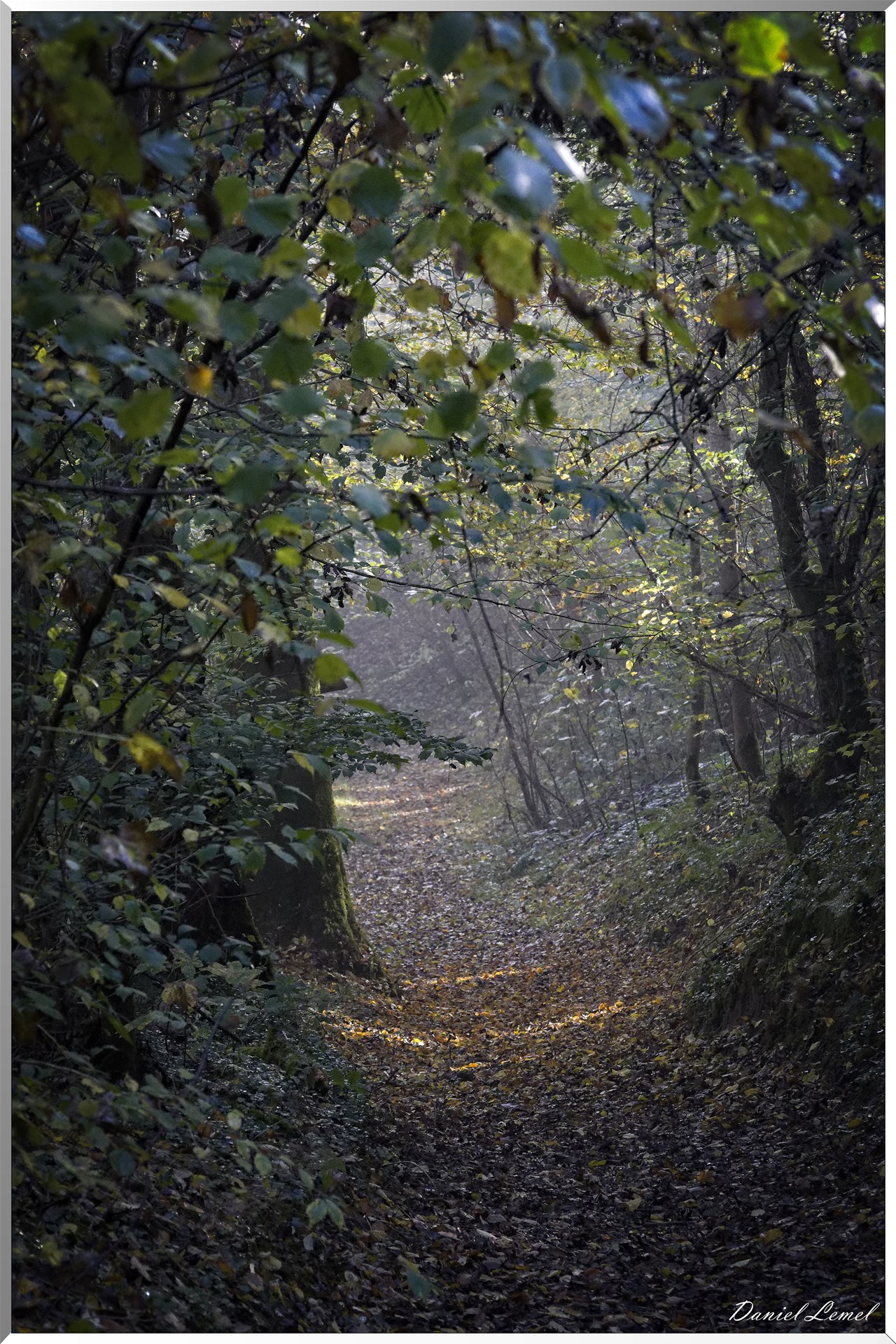 Saint-Pierre-de-Bailleul