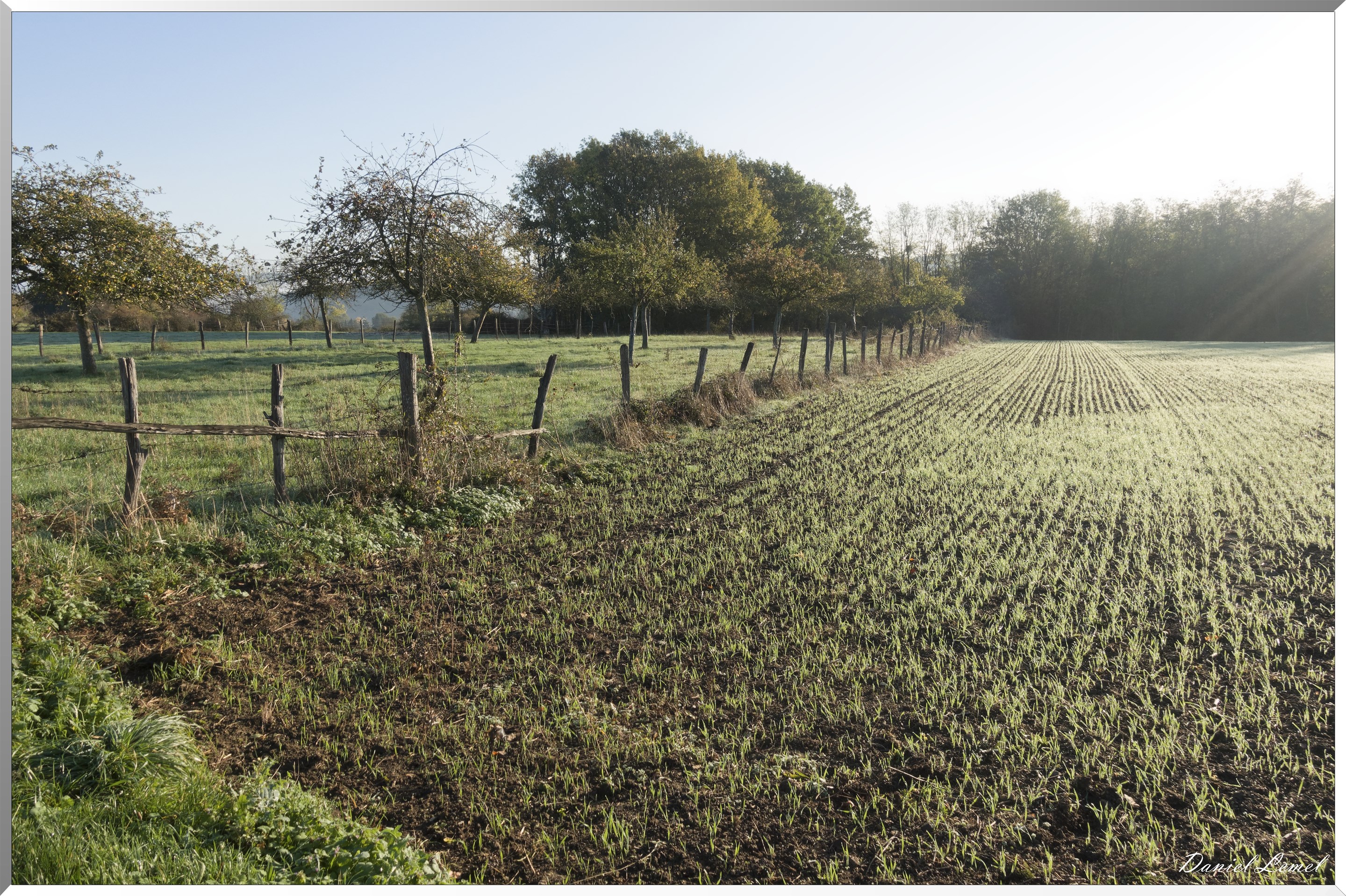 Saint-Pierre-de-Bailleul