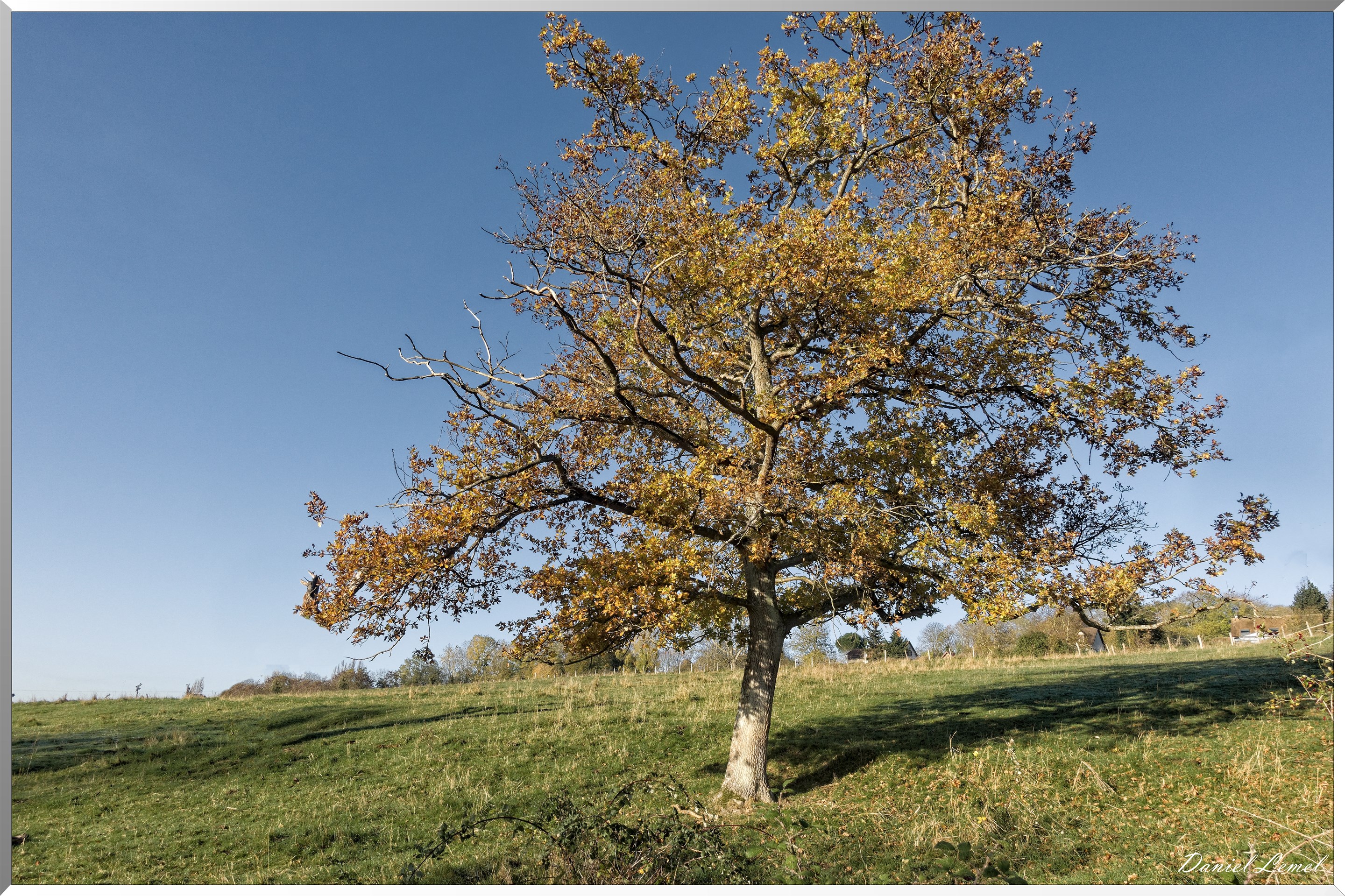 Saint-Pierre-de-Bailleul