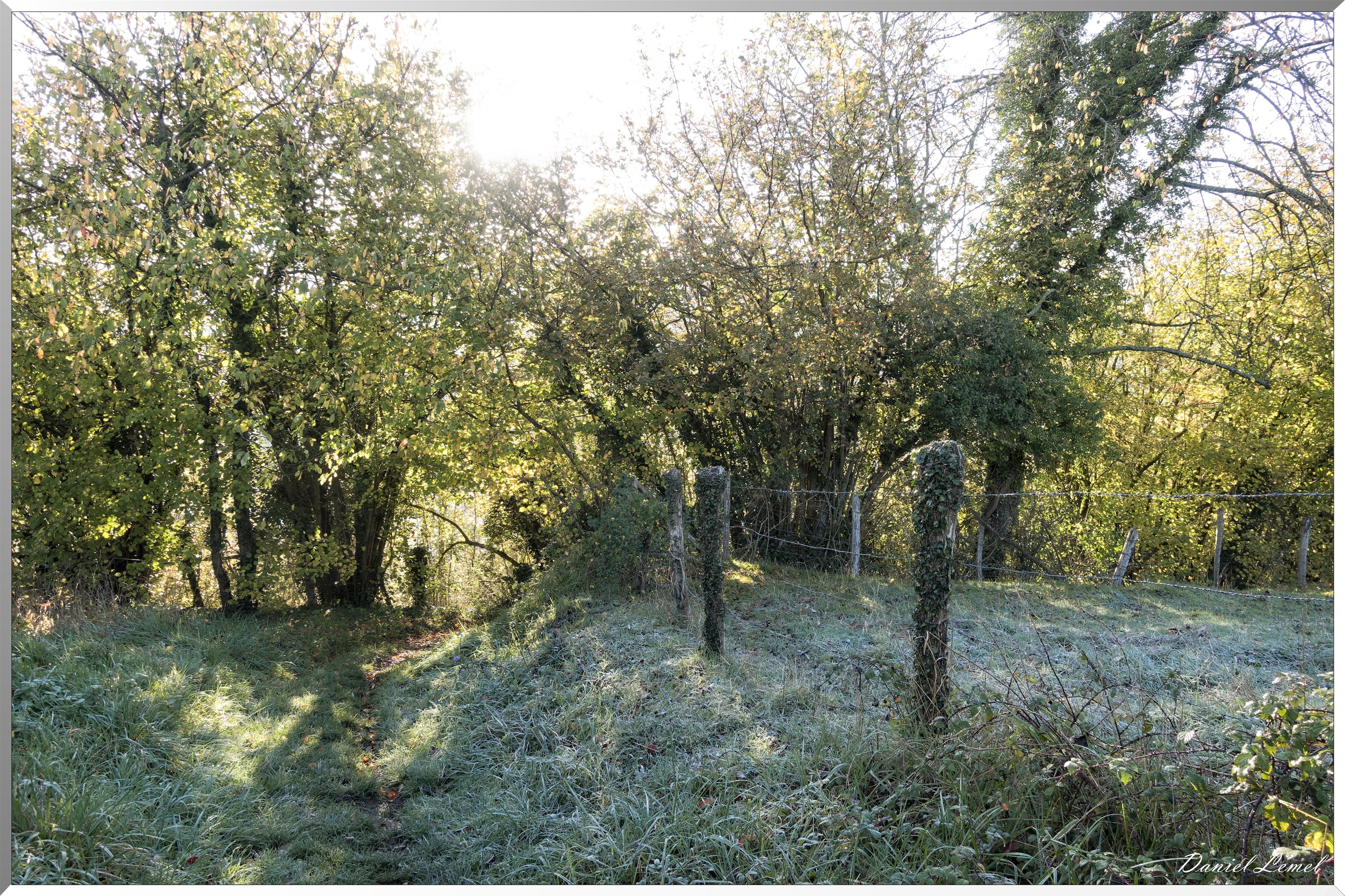 Saint-Pierre-de-Bailleul