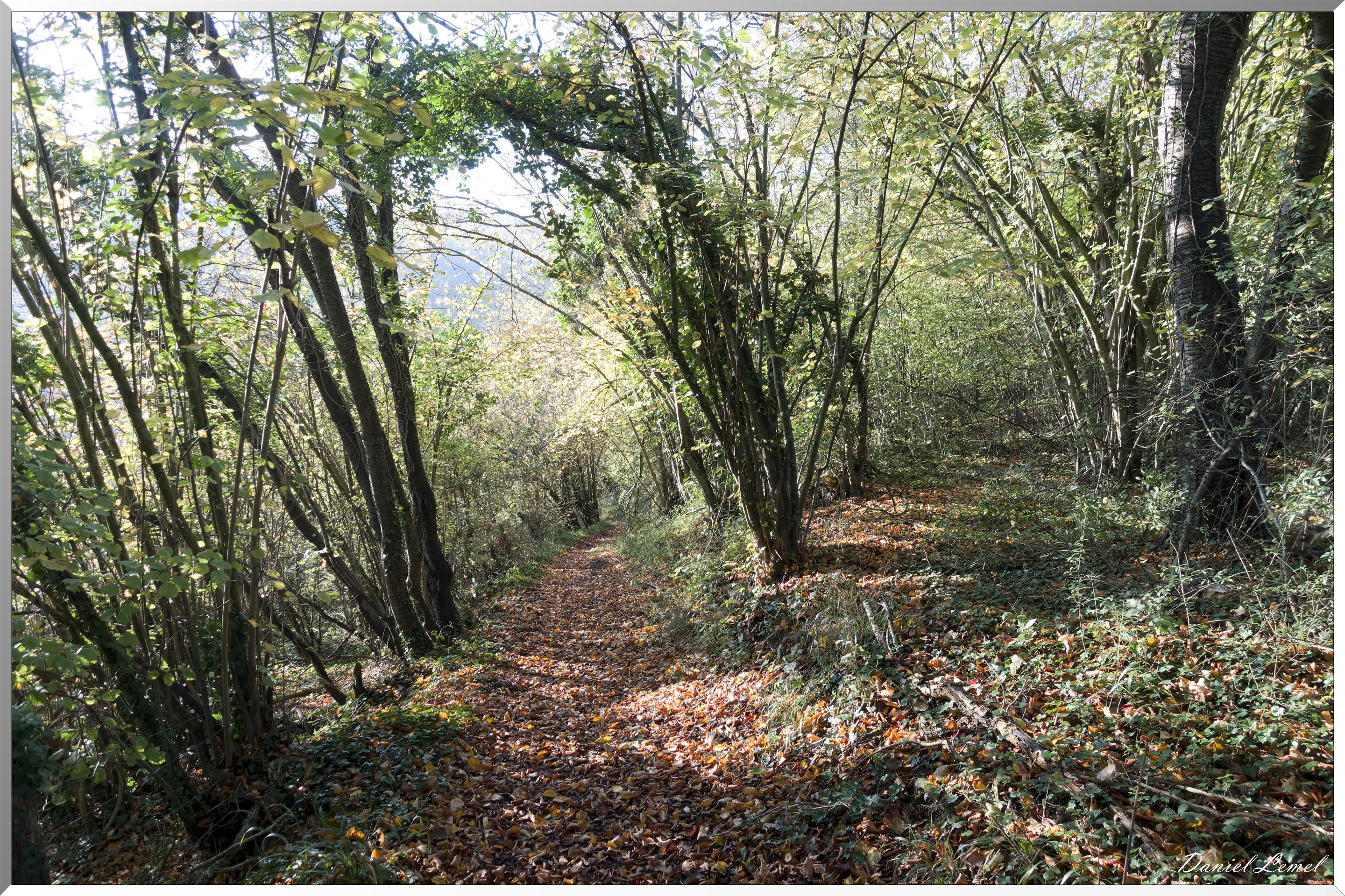 Saint-Pierre-de-Bailleul