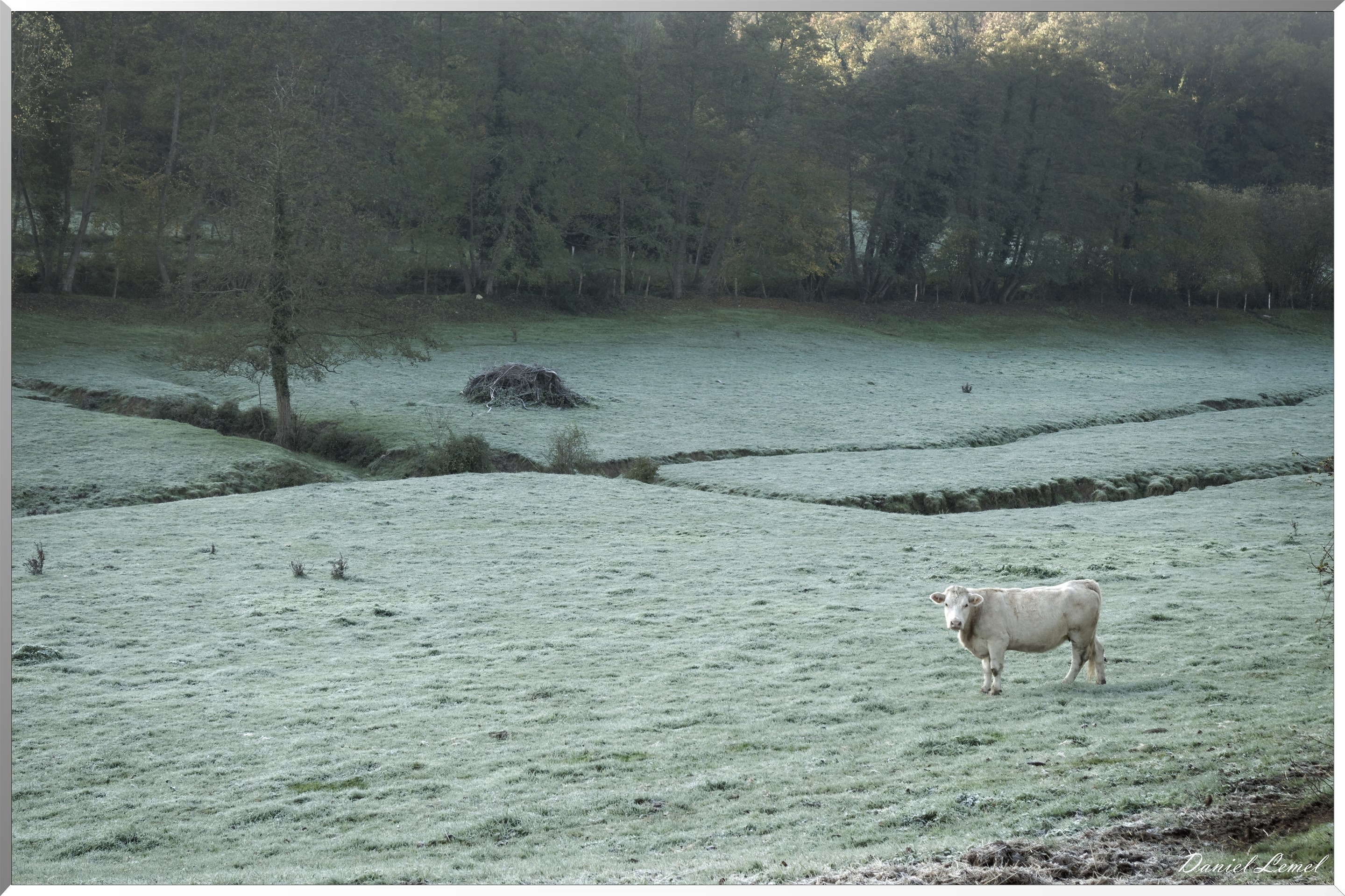 Saint-Pierre-de-Bailleul