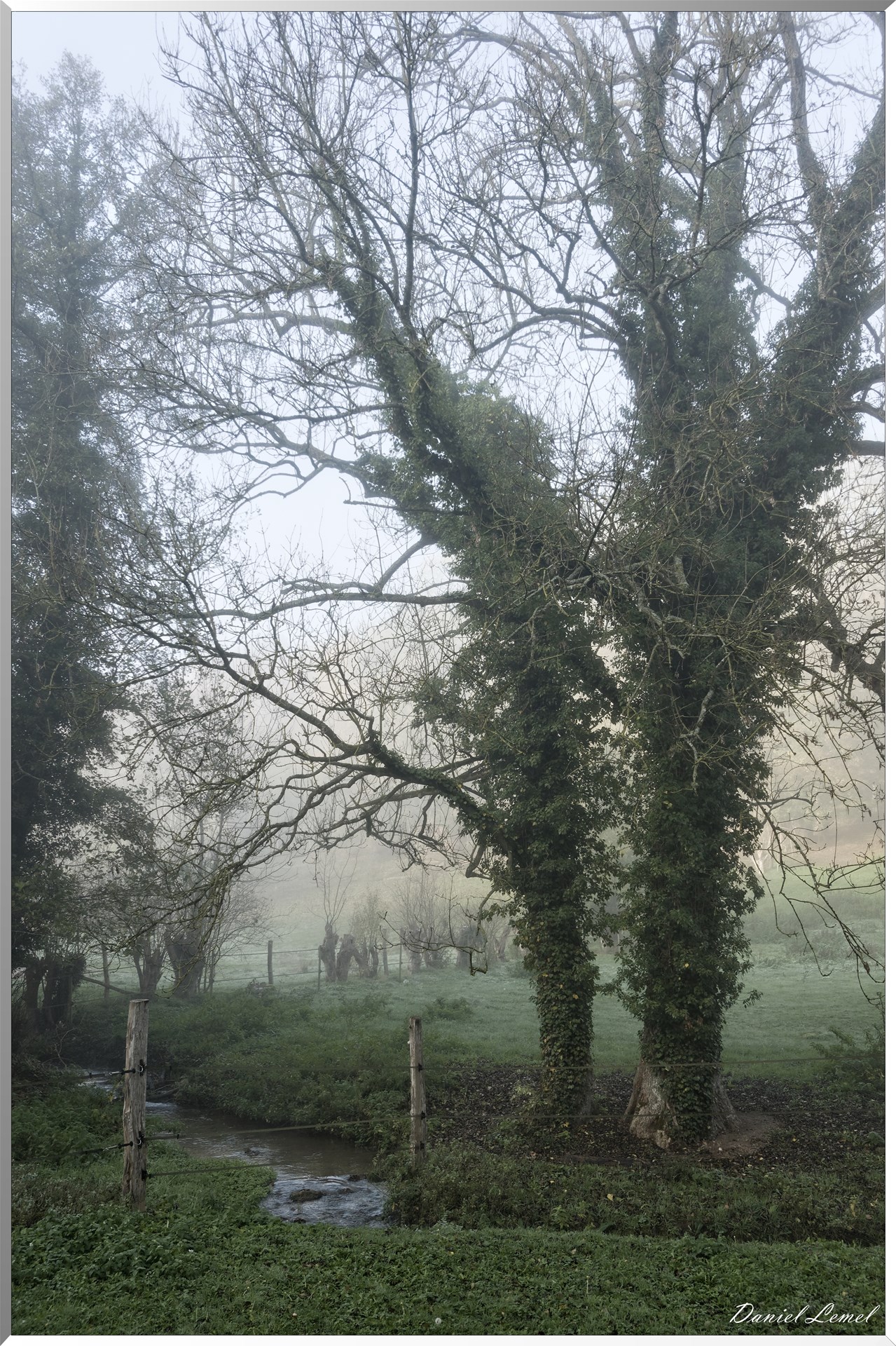 Saint-Pierre-de-Bailleul