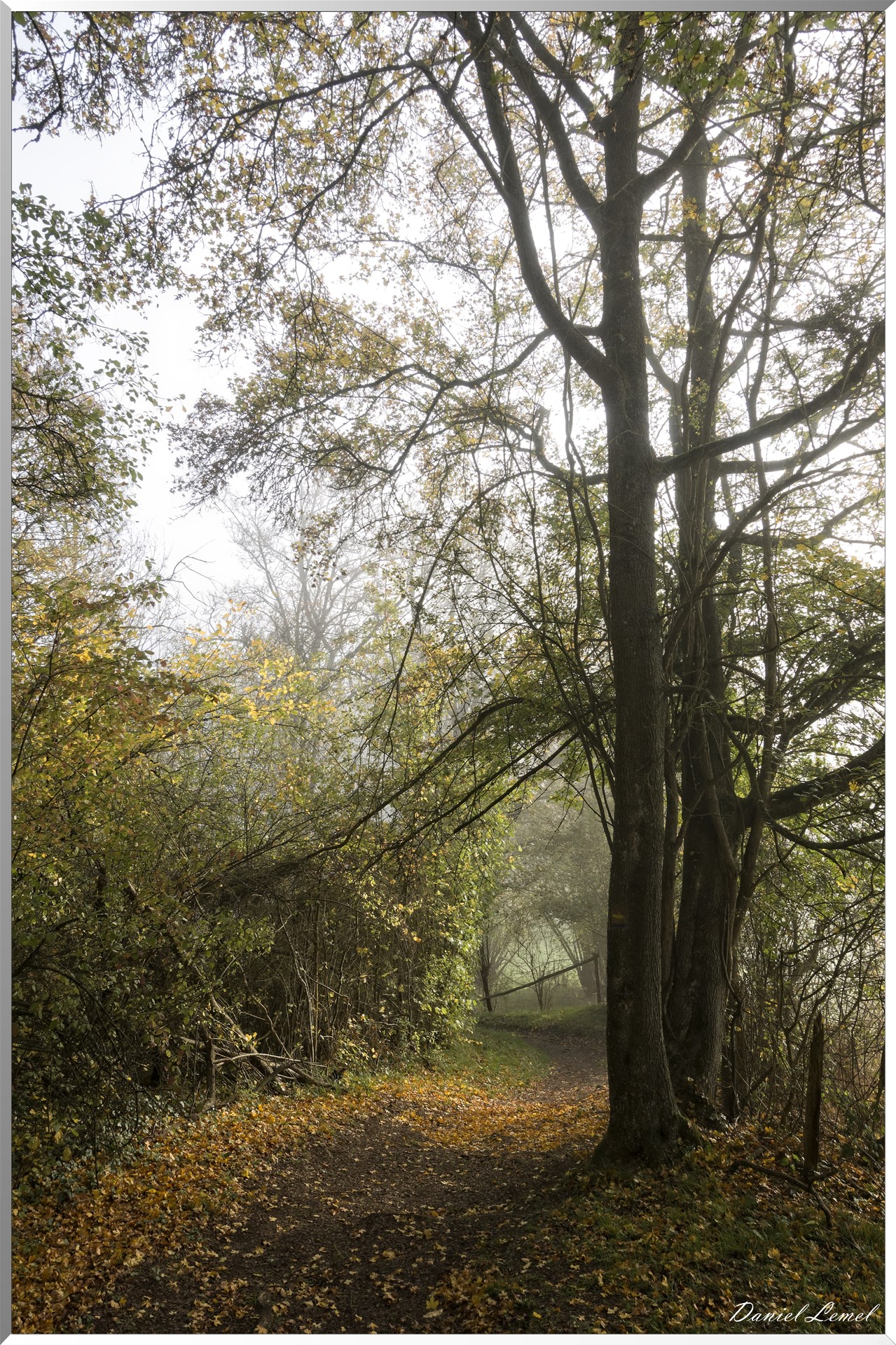 Saint-Pierre-de-Bailleul