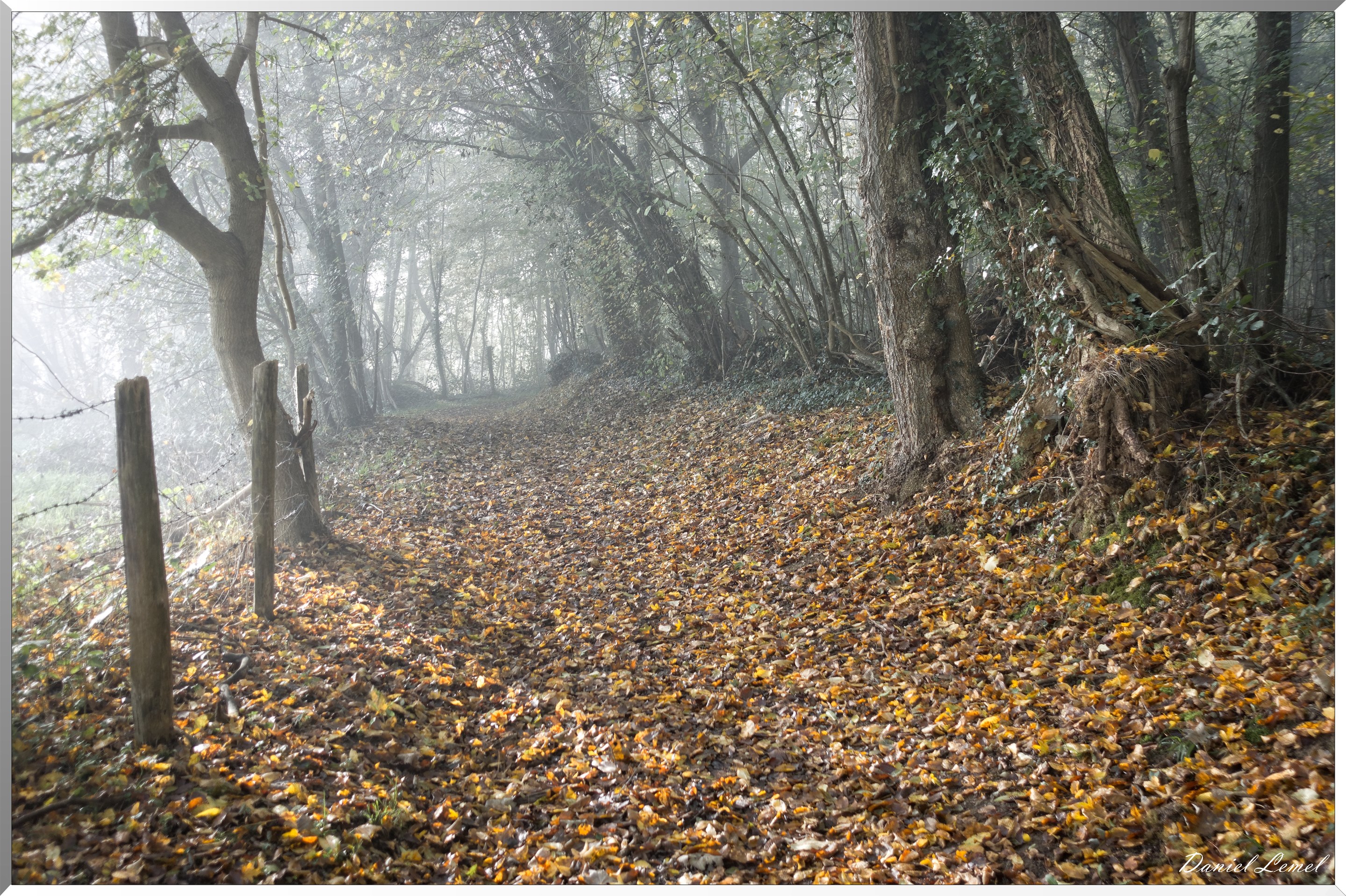 Saint-Pierre-de-Bailleul