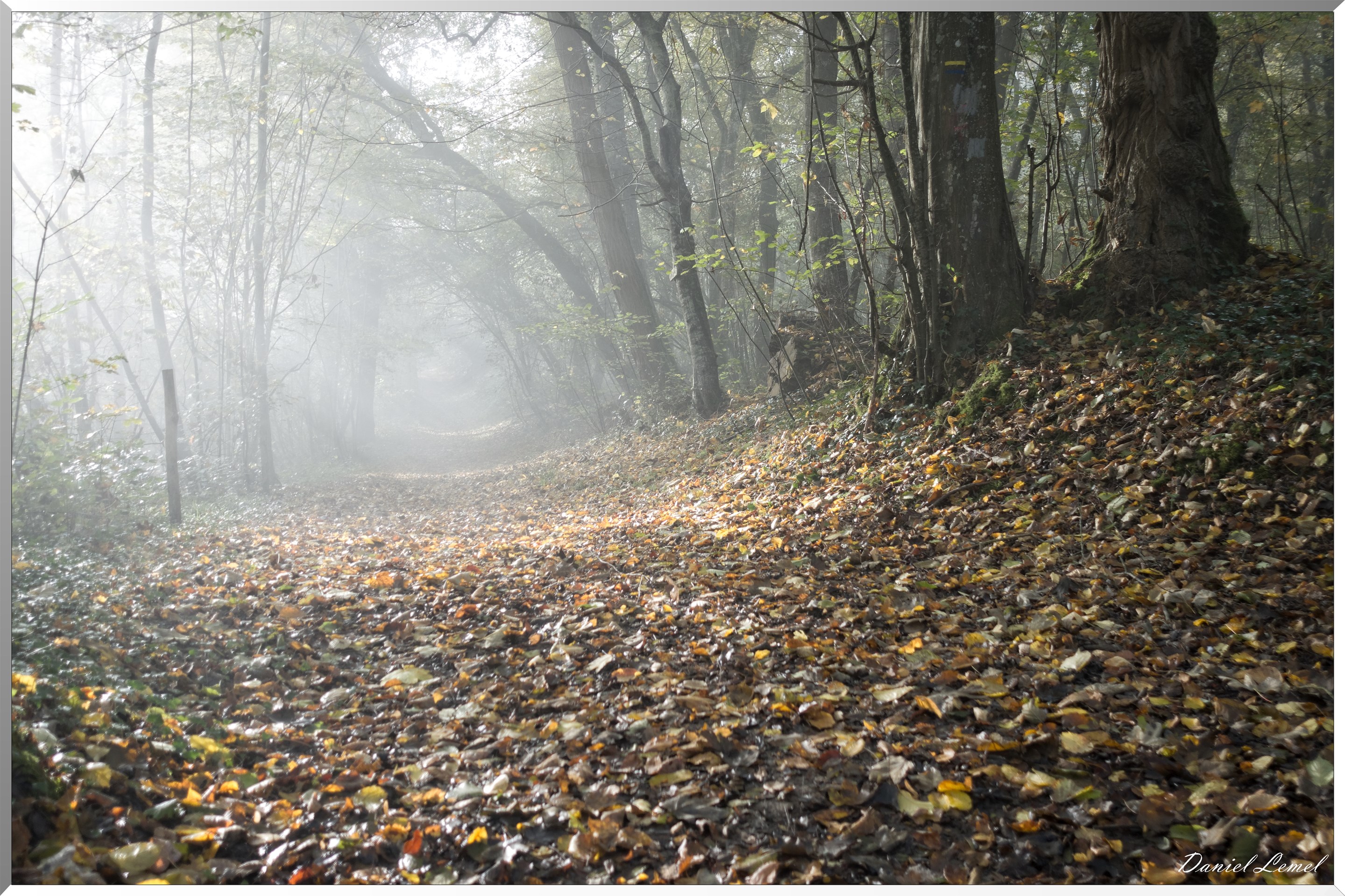 Saint-Pierre-de-Bailleul