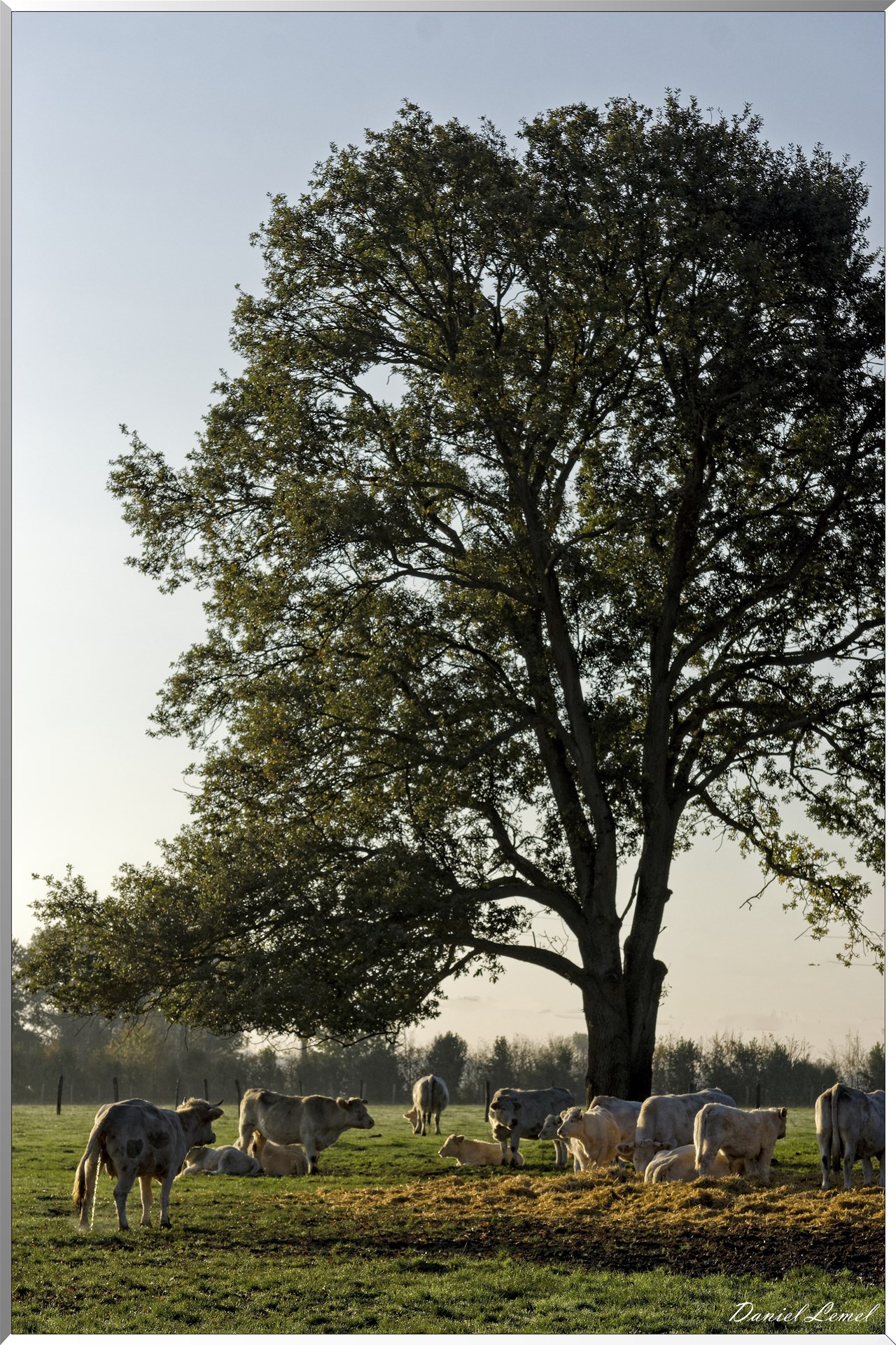 Saint-Pierre-de-Bailleul