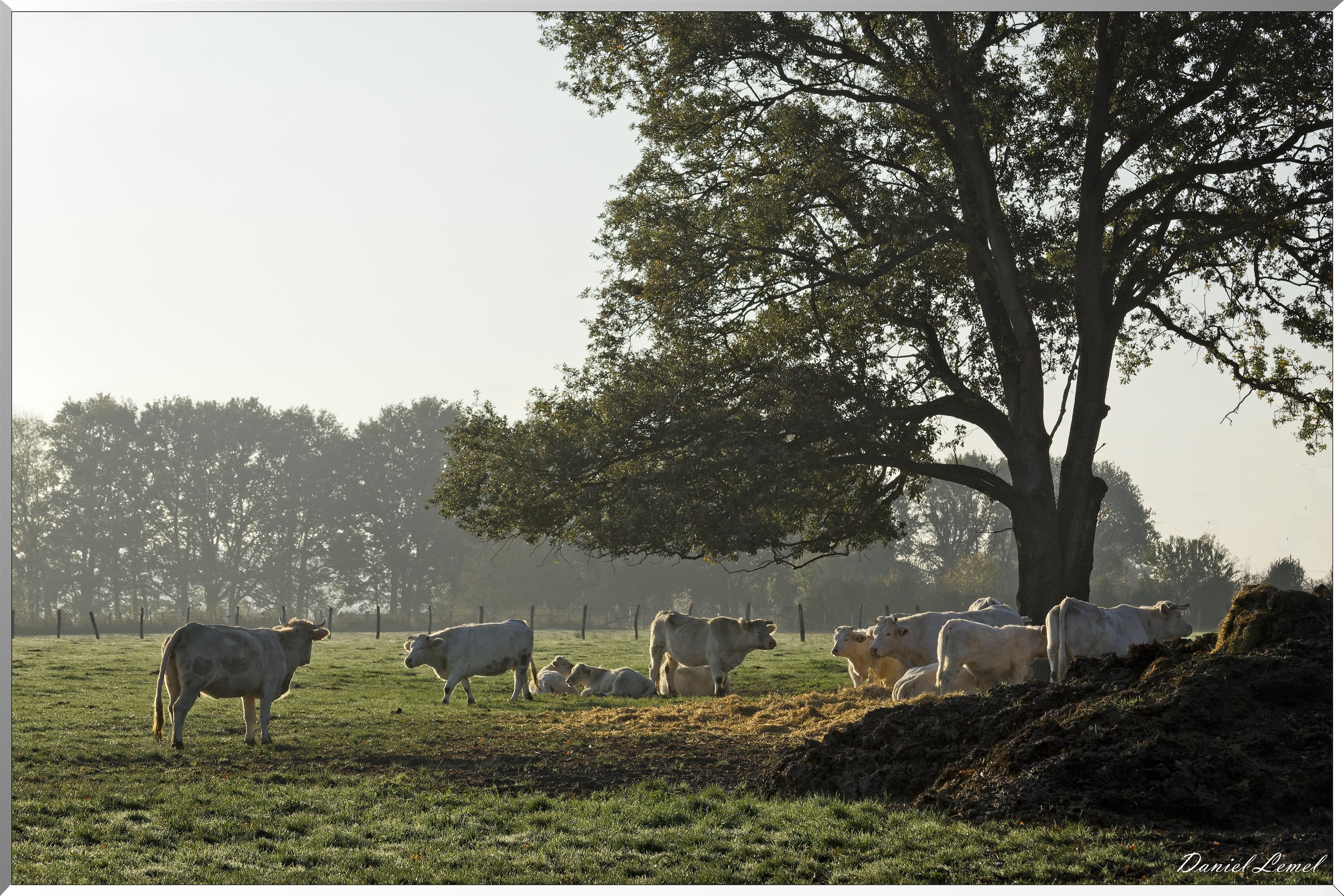 Saint-Pierre-de-Bailleul