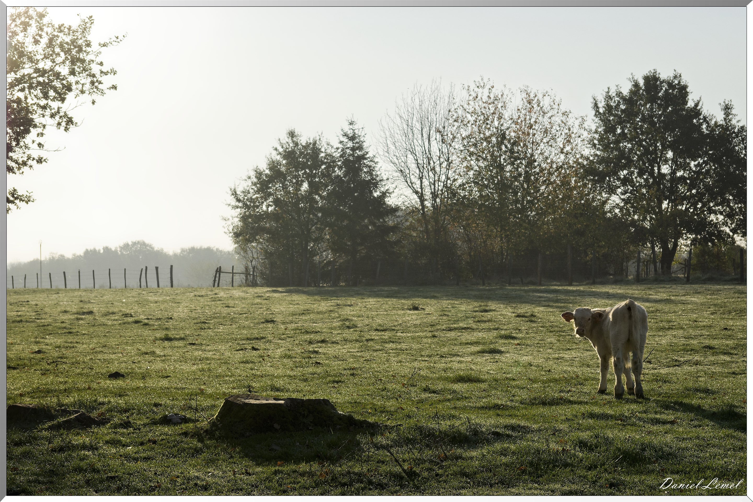Saint-Pierre-de-Bailleul