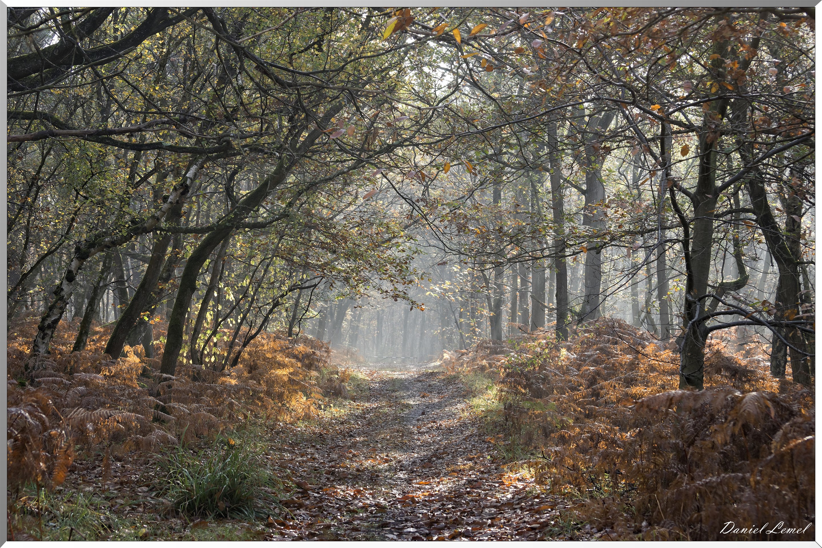 Saint-Pierre-de-Bailleul