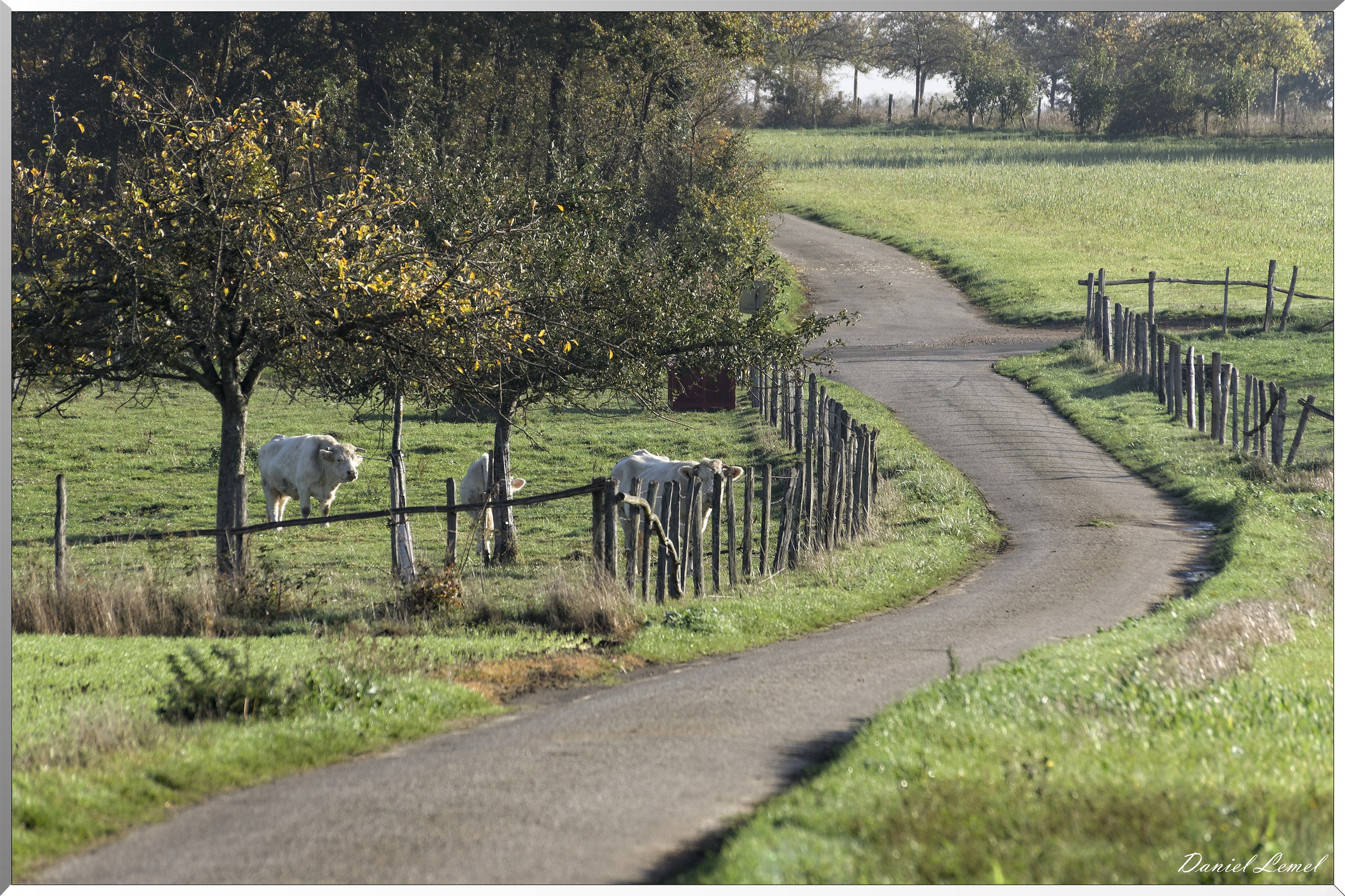 Saint-Pierre-de-Bailleul