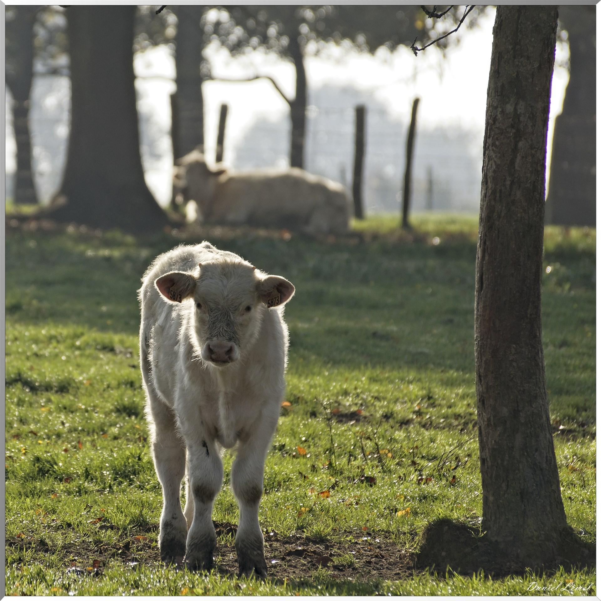 Saint-Pierre-de-Bailleul