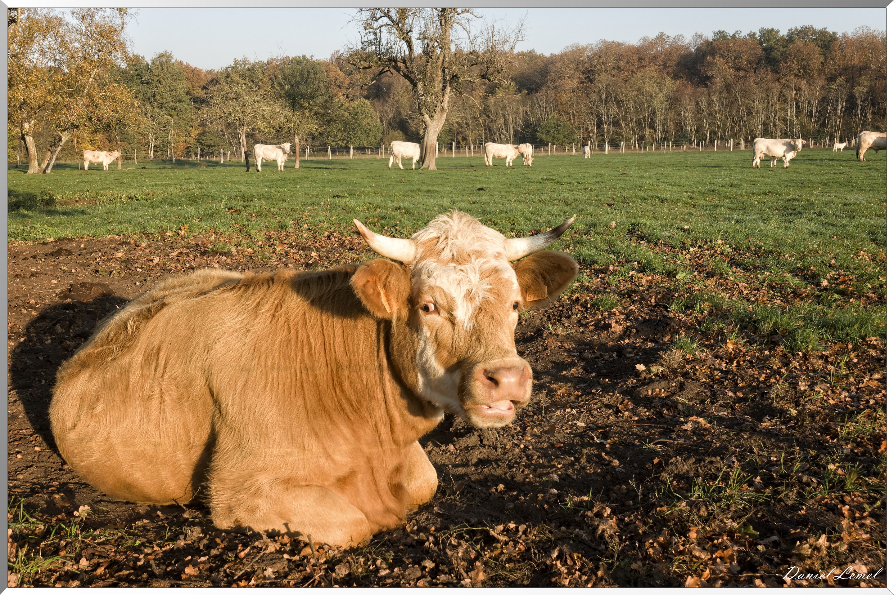 Saint-Pierre-de-Bailleul