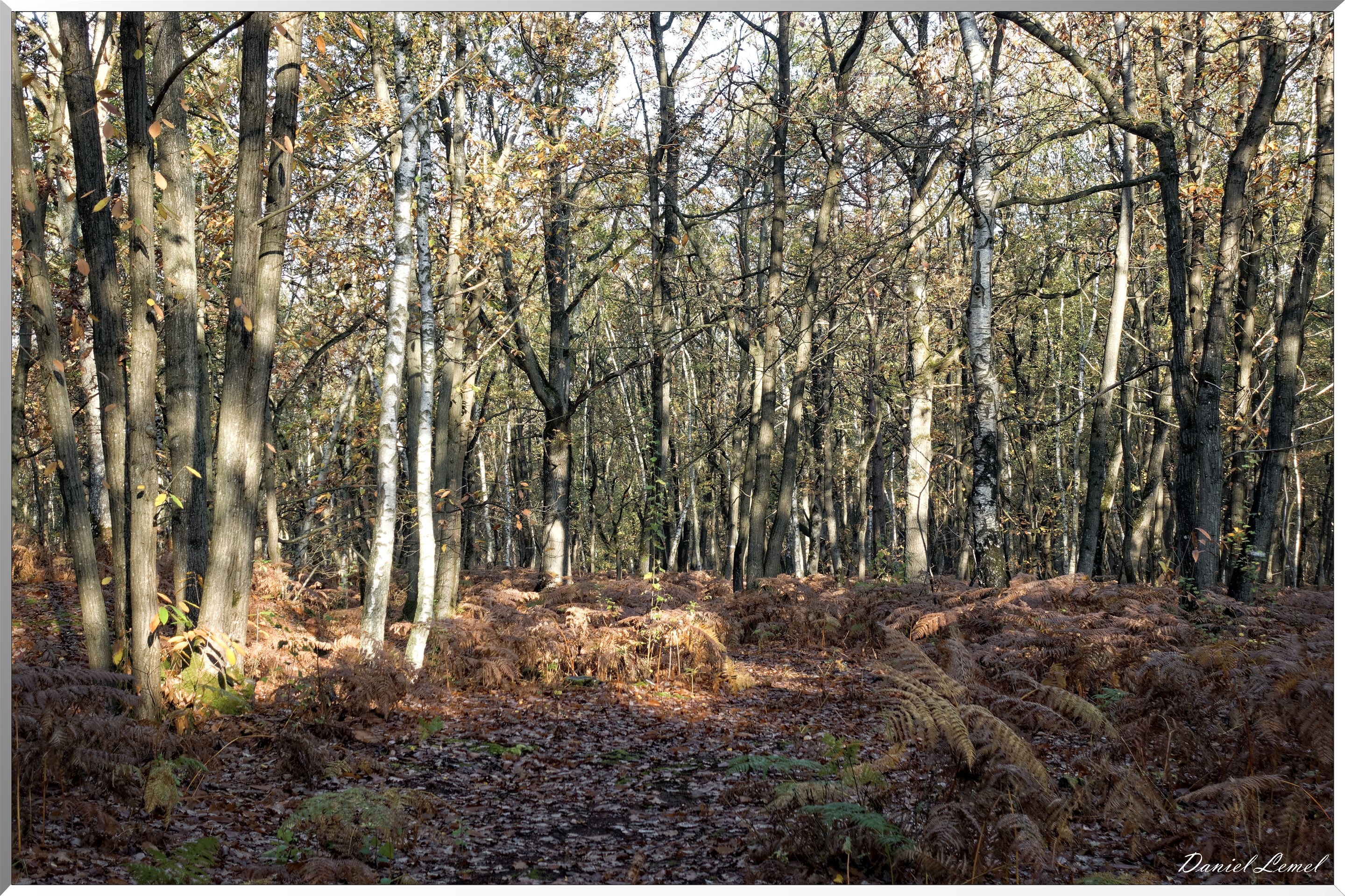 Saint-Pierre-de-Bailleul