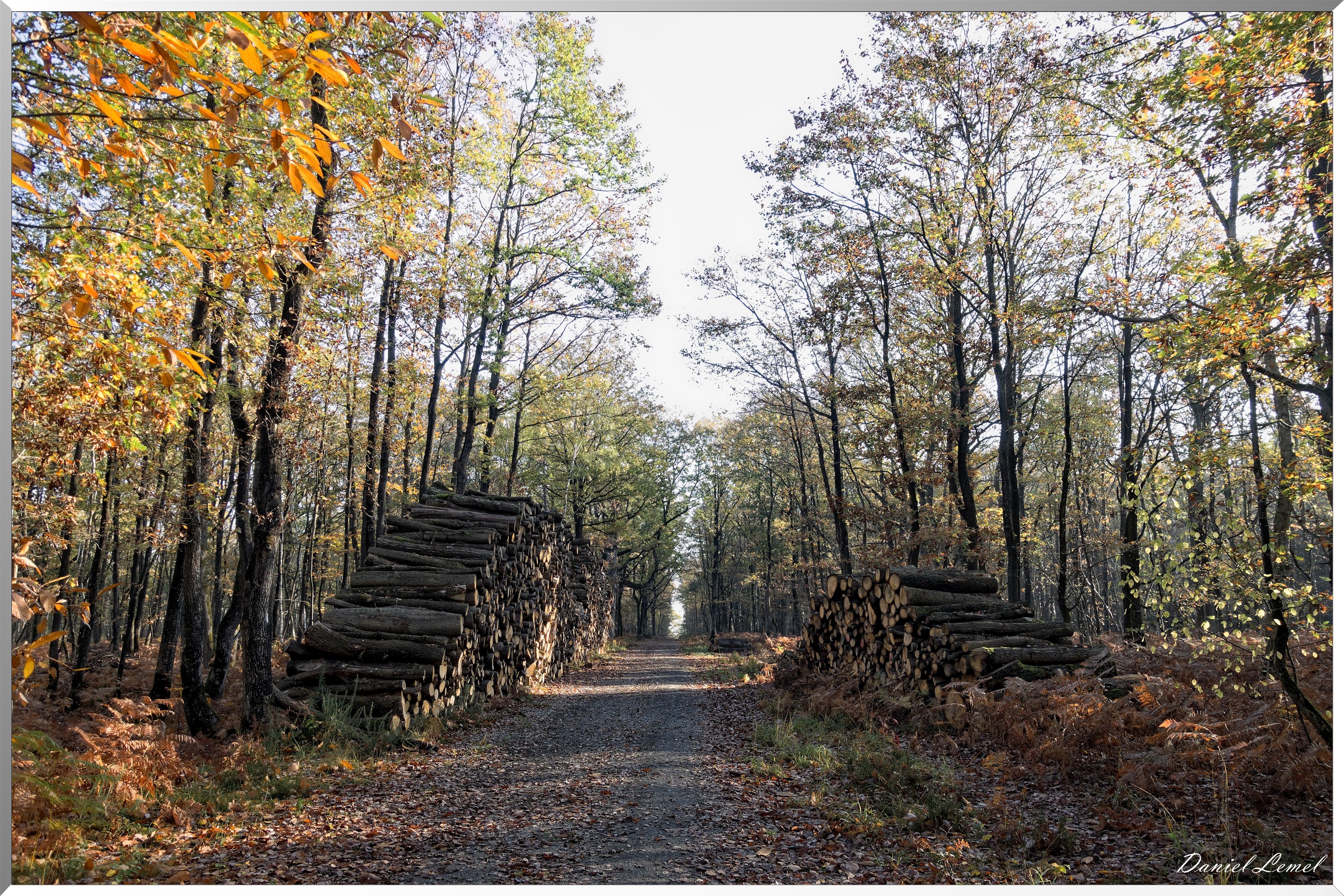 Saint-Pierre-de-Bailleul
