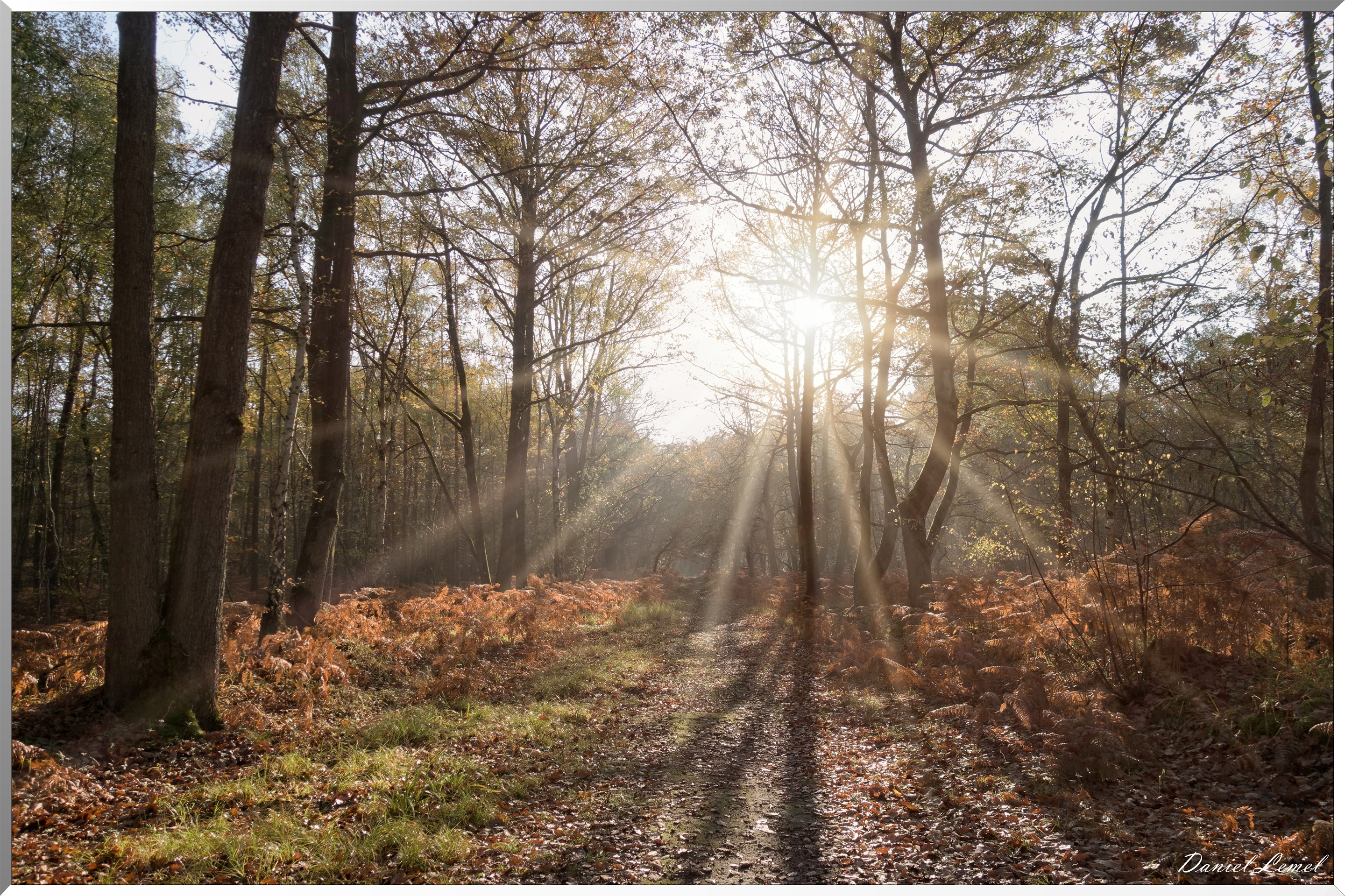 Saint-Pierre-de-Bailleul