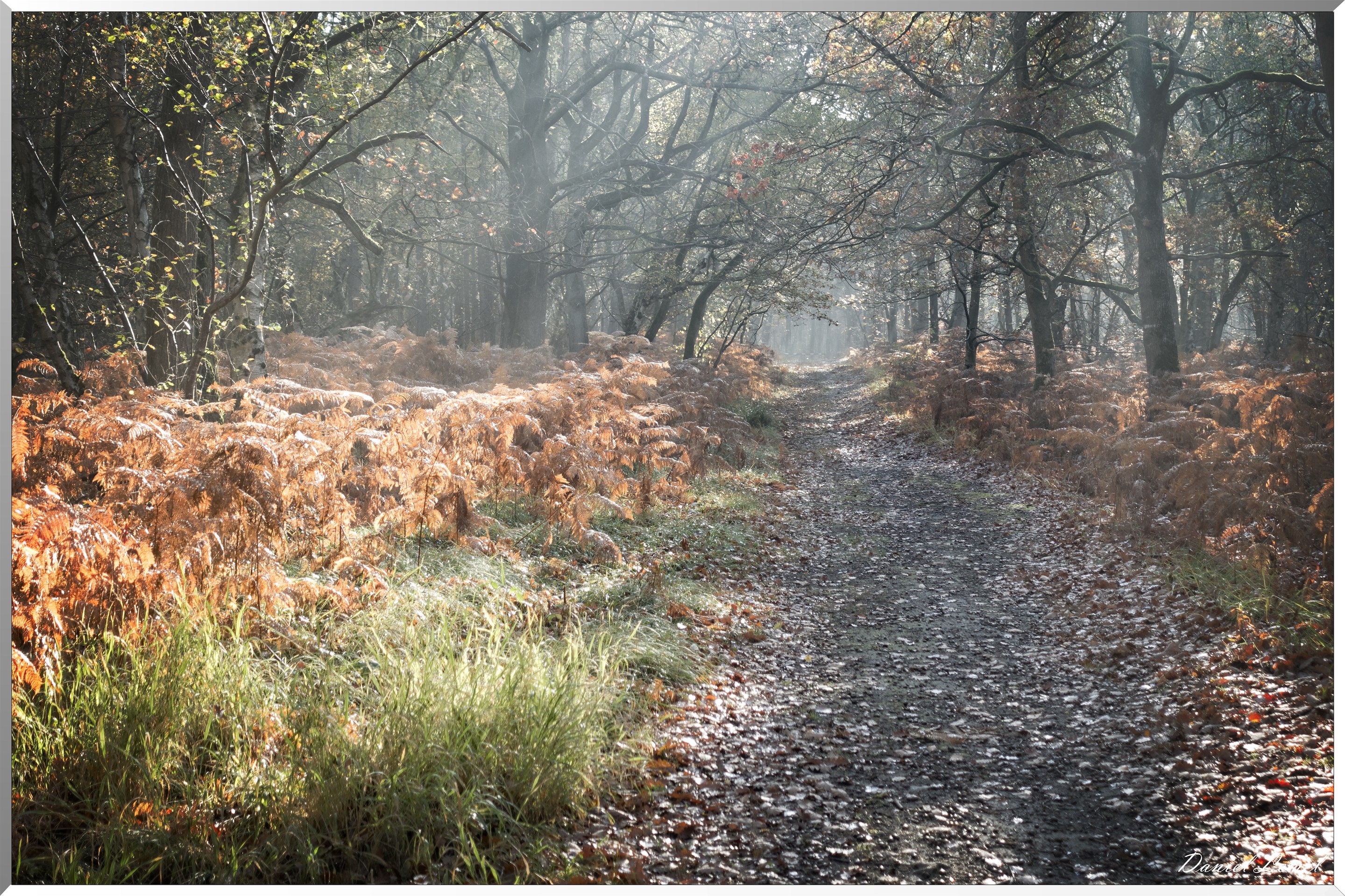 Saint-Pierre-de-Bailleul