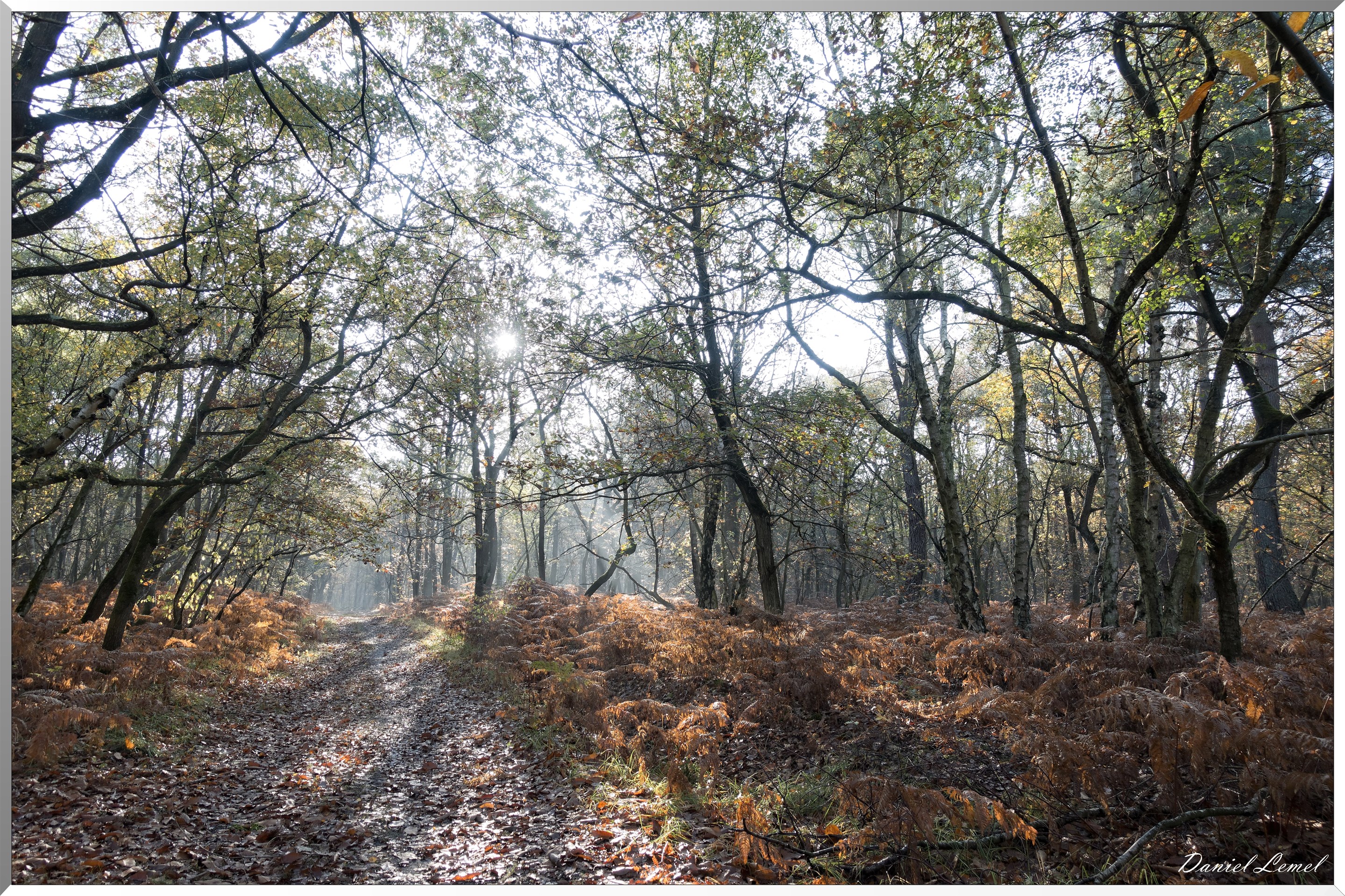 Saint-Pierre-de-Bailleul