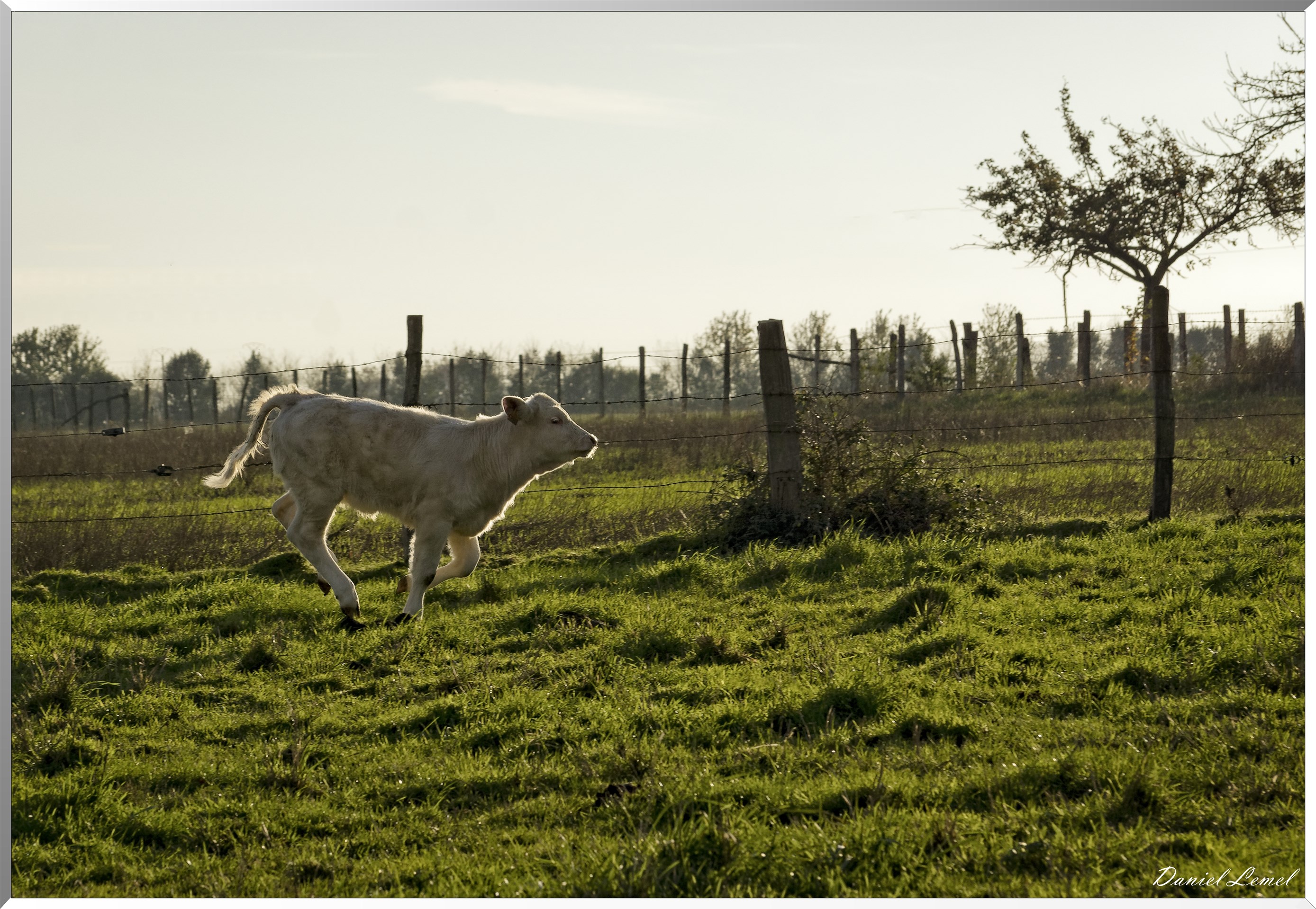 Saint-Pierre-de-Bailleul