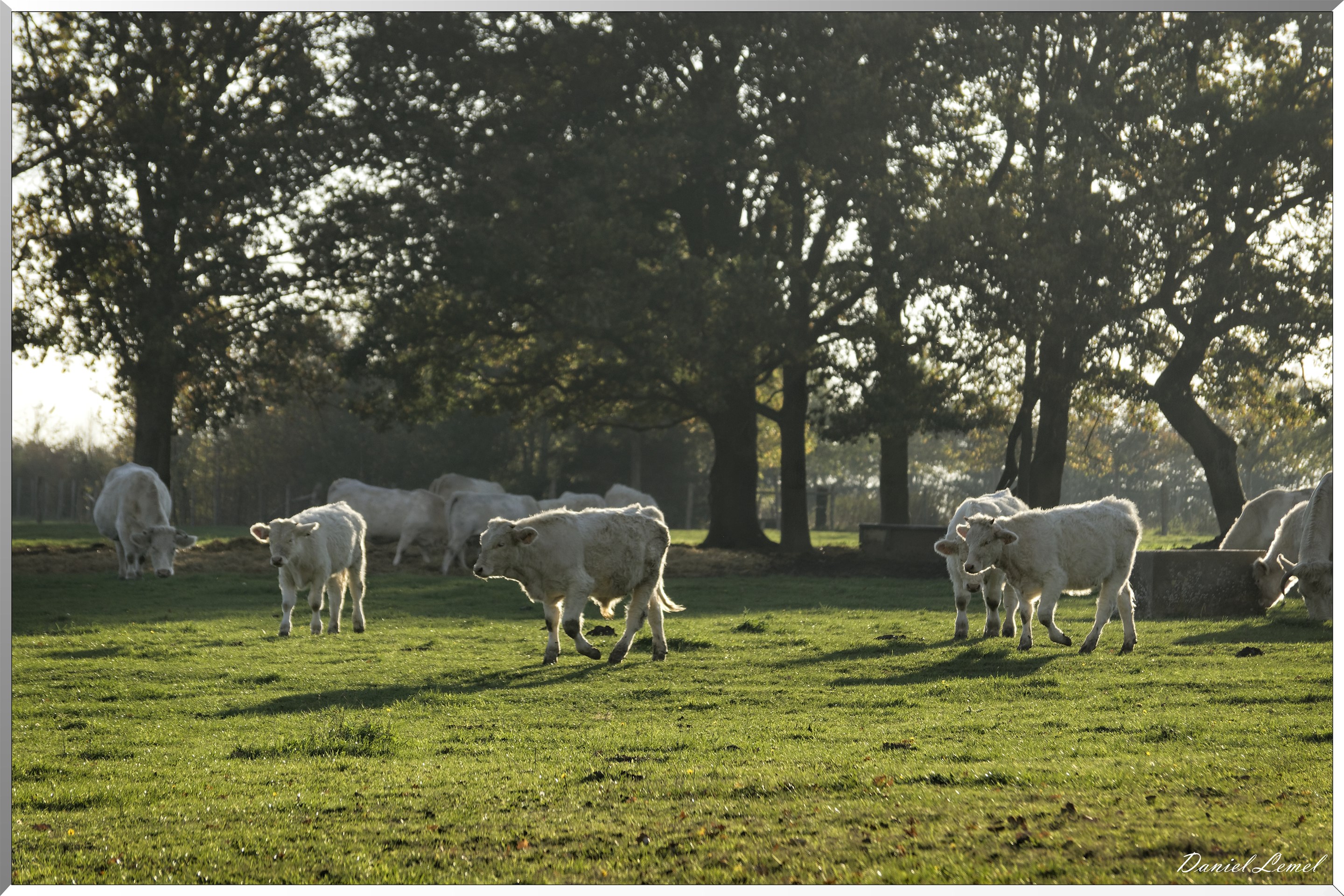 Saint-Pierre-de-Bailleul