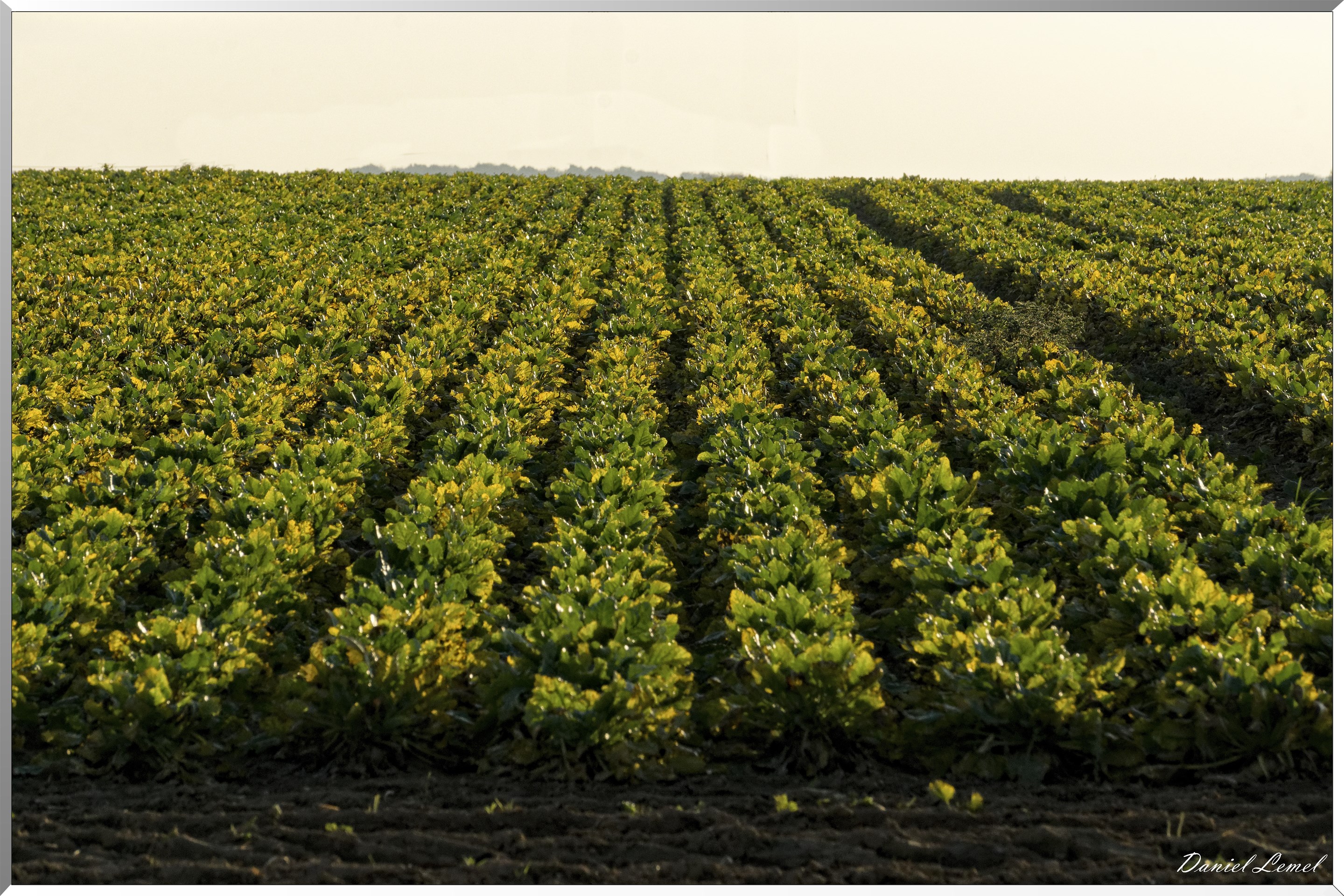 Saint-Pierre-de-Bailleul