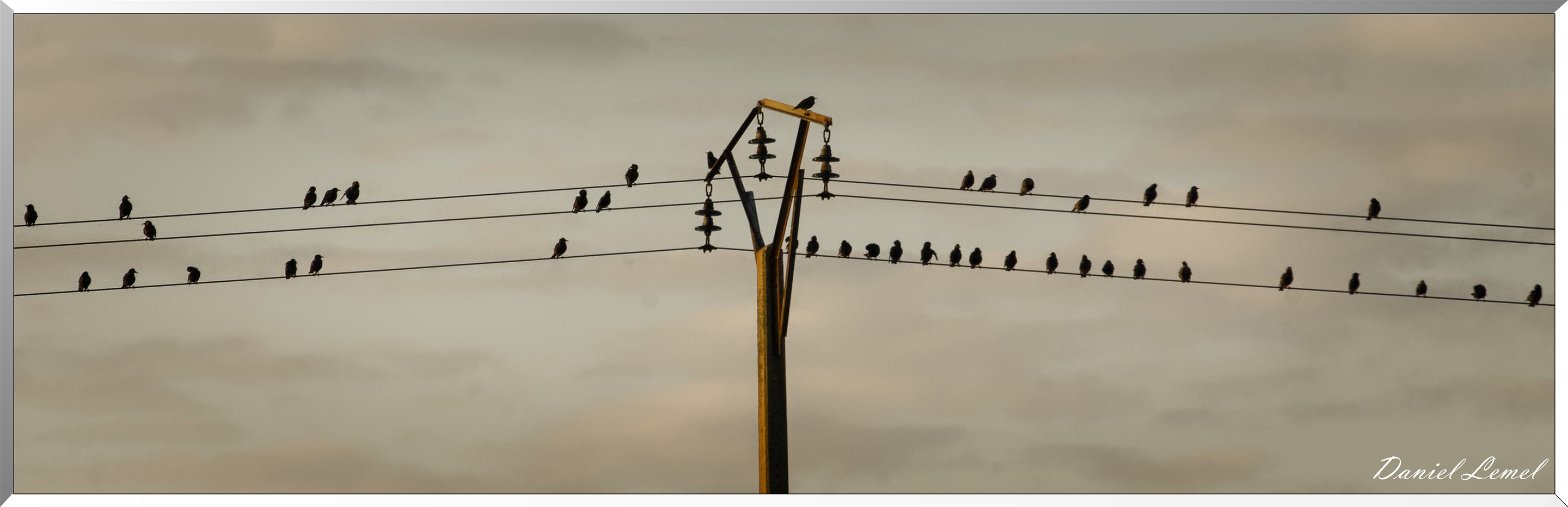 Saint-Pierre-de-Bailleul