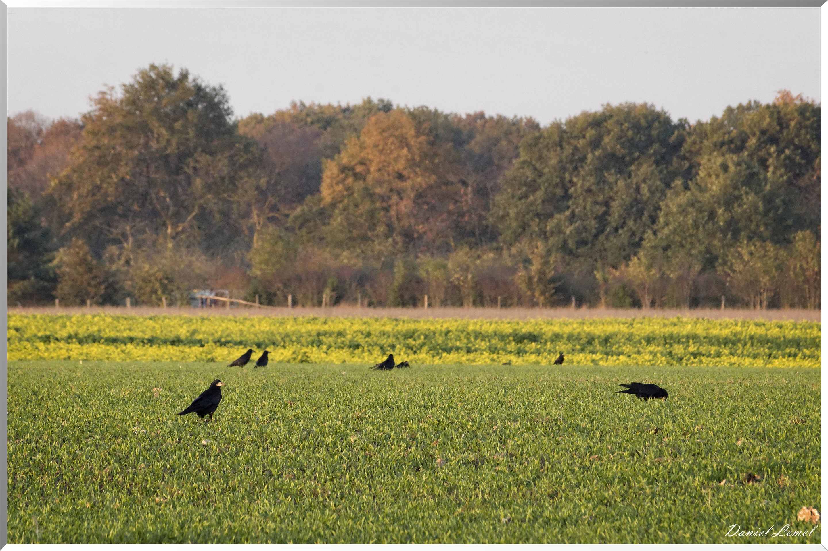 Saint-Pierre-de-Bailleul