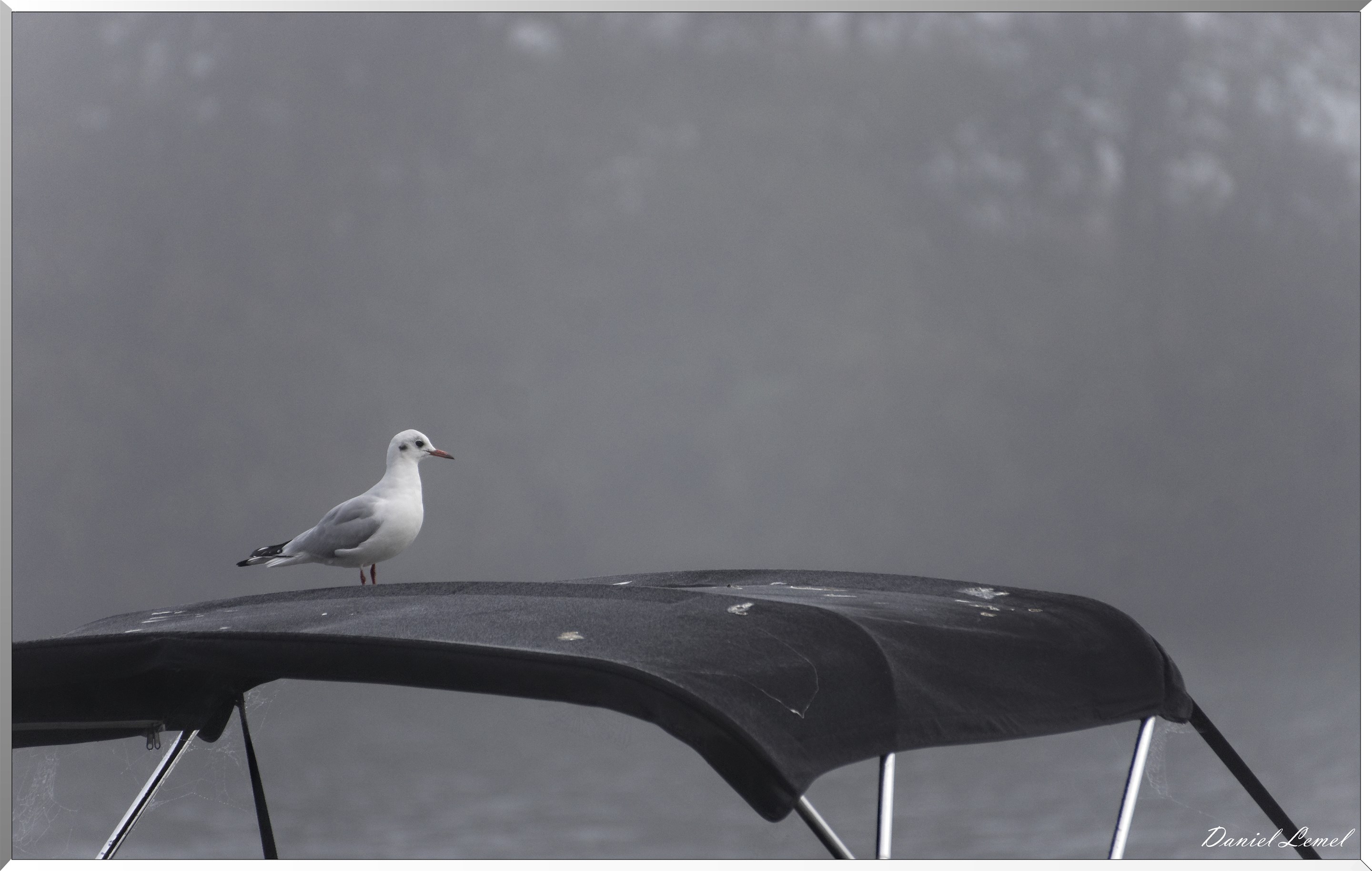 Saint-Pierre-de-Bailleul